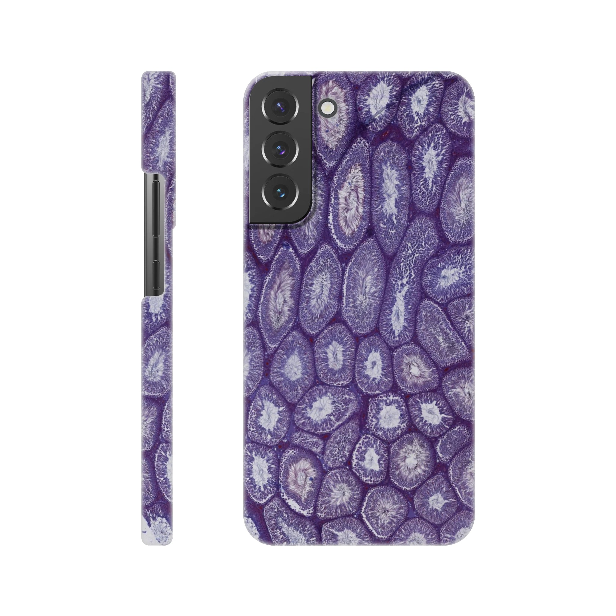 589ad4ad-e175-44ca-a78b-e8c56c012ca5