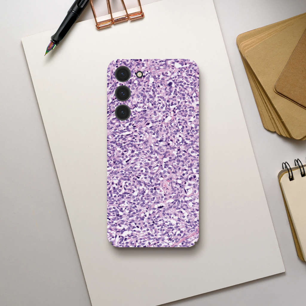 58ed8bbc-6c23-4a02-8fd4-9b58bbb0c353