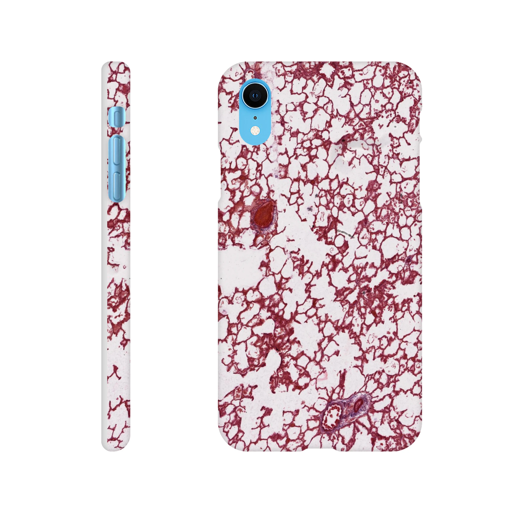 5b307cb1-843d-4f30-9791-c22122e0d11e