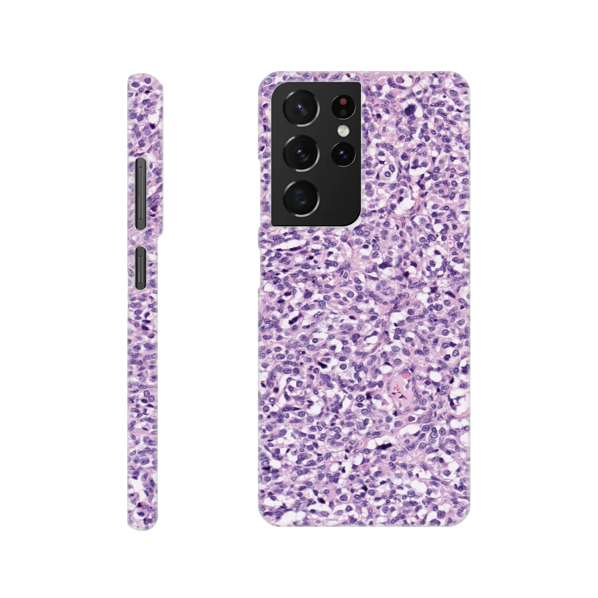 5ba730ff-b347-47b9-a733-c20b1a26d22c