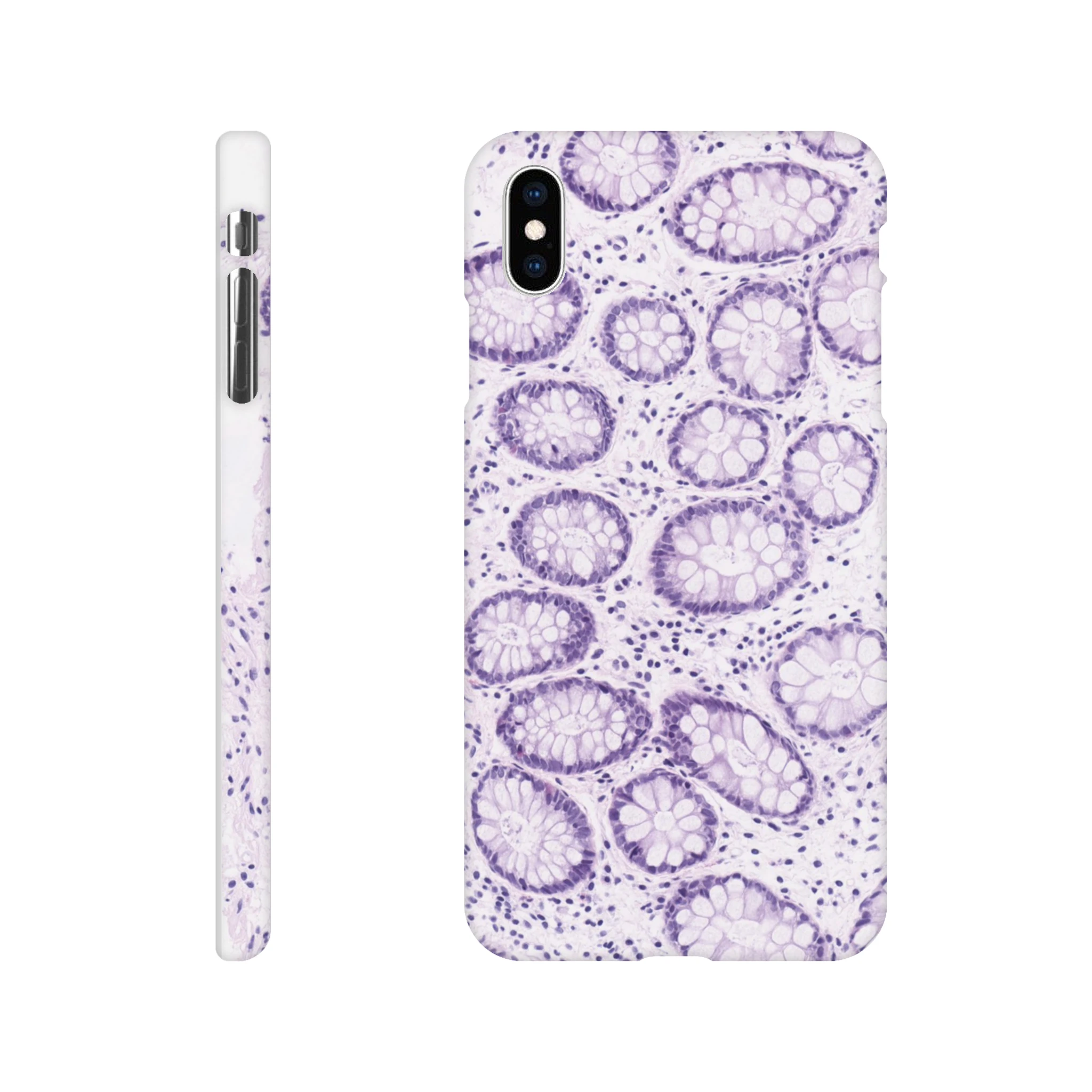 5ecd6a22-95c9-46c1-b5eb-1129647cc06b