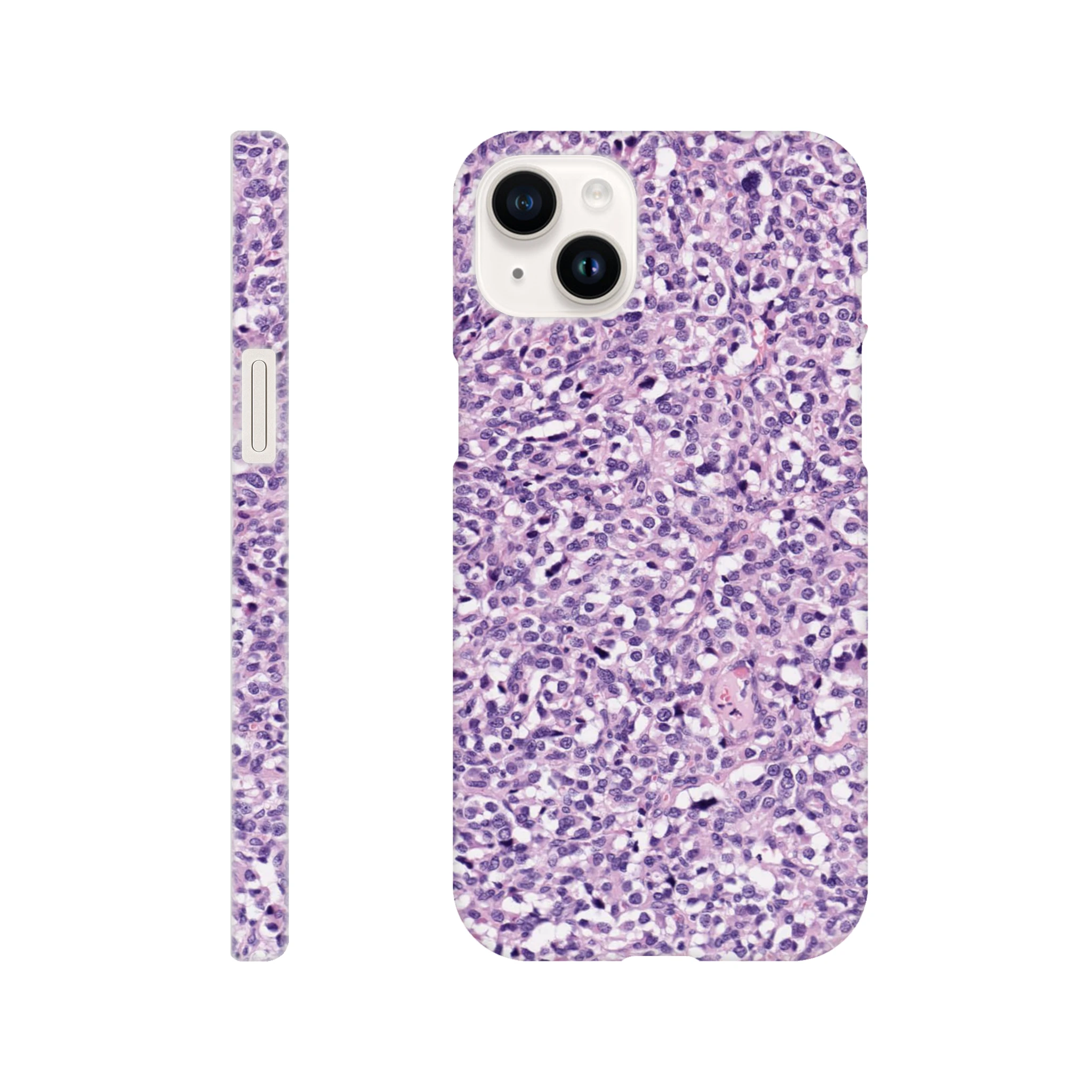 5ecfb238-1560-4915-a433-aa541f6e2101