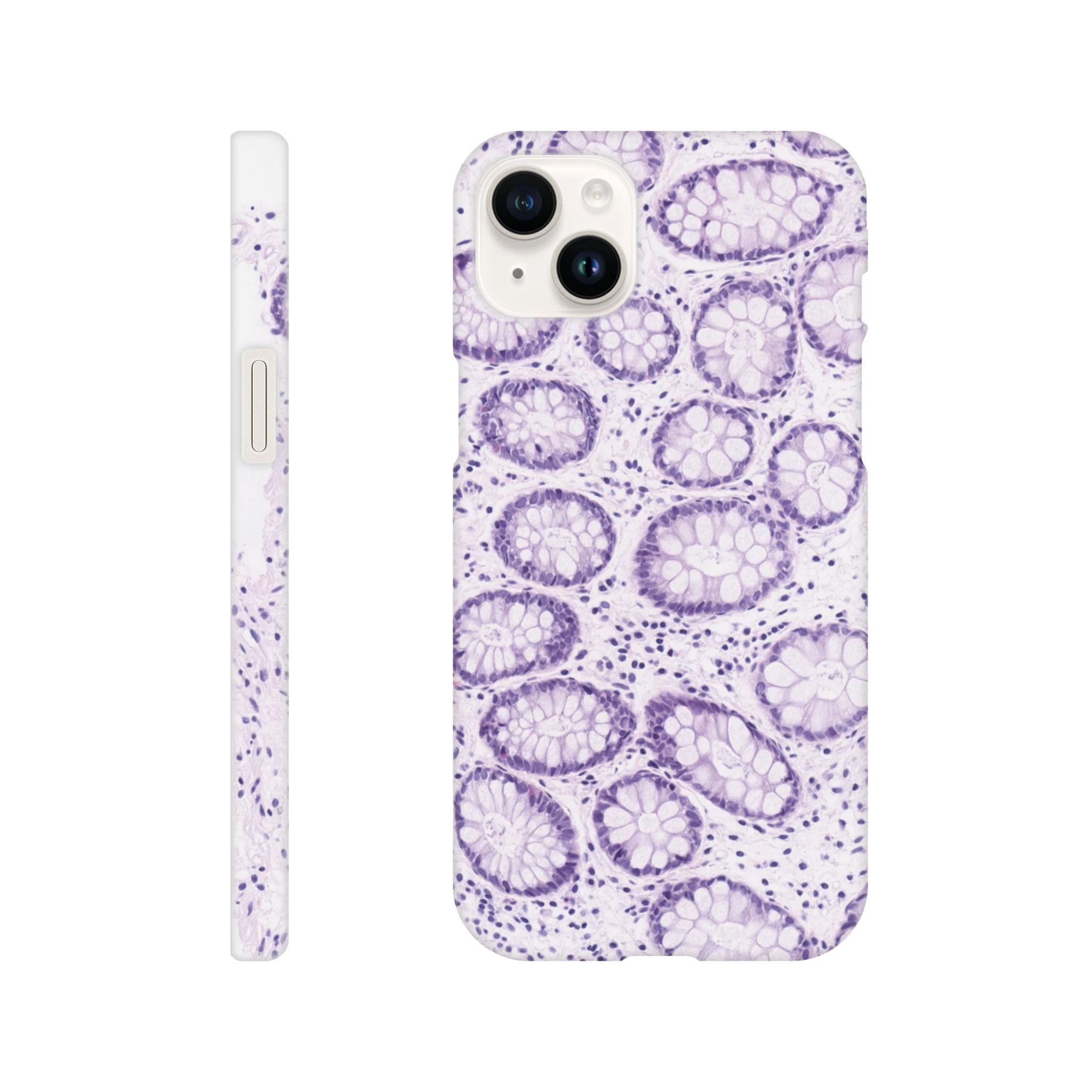 60cc5810-9367-48be-8c93-bf12bc65ae5d