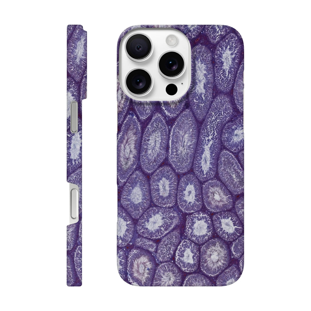 61aaf3f6-b898-4dbc-b80e-b0c4fc98bb3e