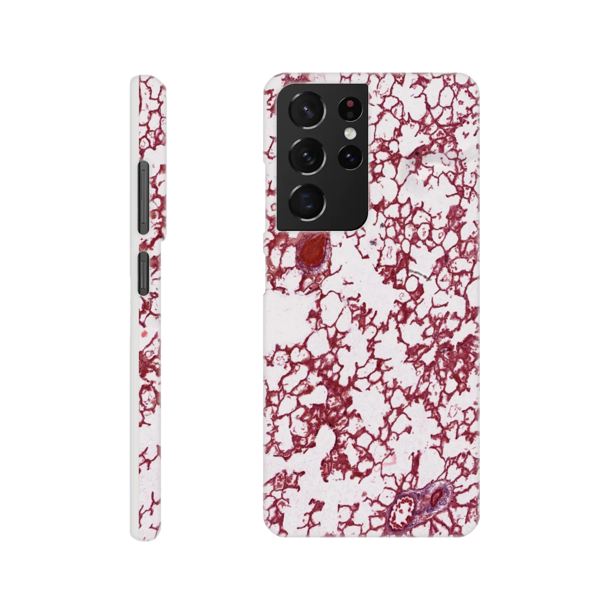 6300cd99-5ddd-4fb1-b54a-332a9aa31d20