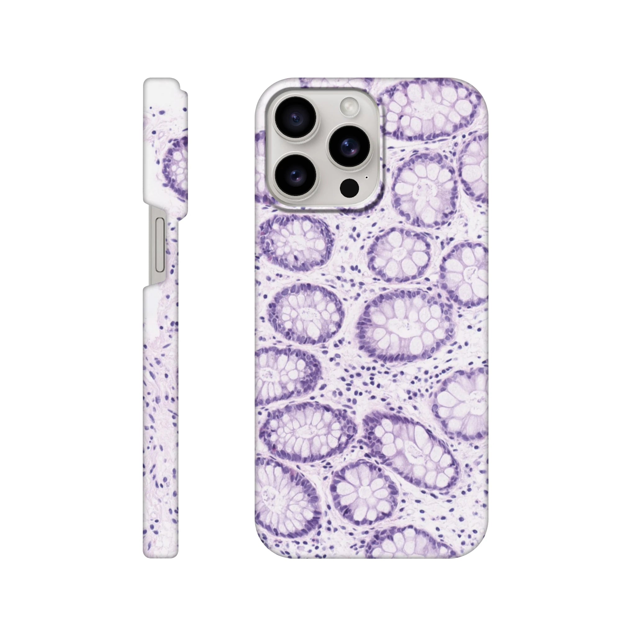 650e711b-fc92-4323-98ab-107cff40e32a