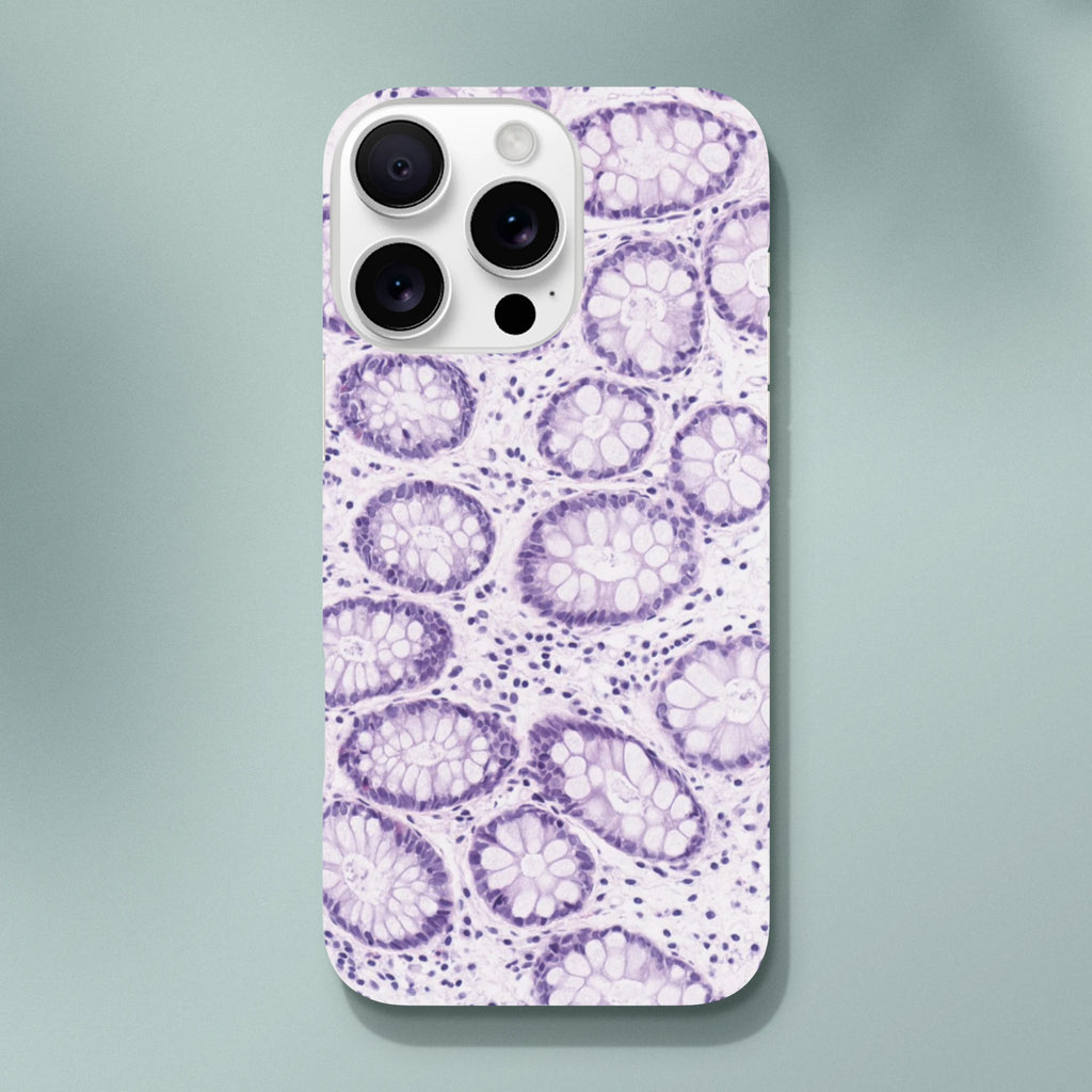 654c485a-f4db-4941-87c8-6d59be2048bf