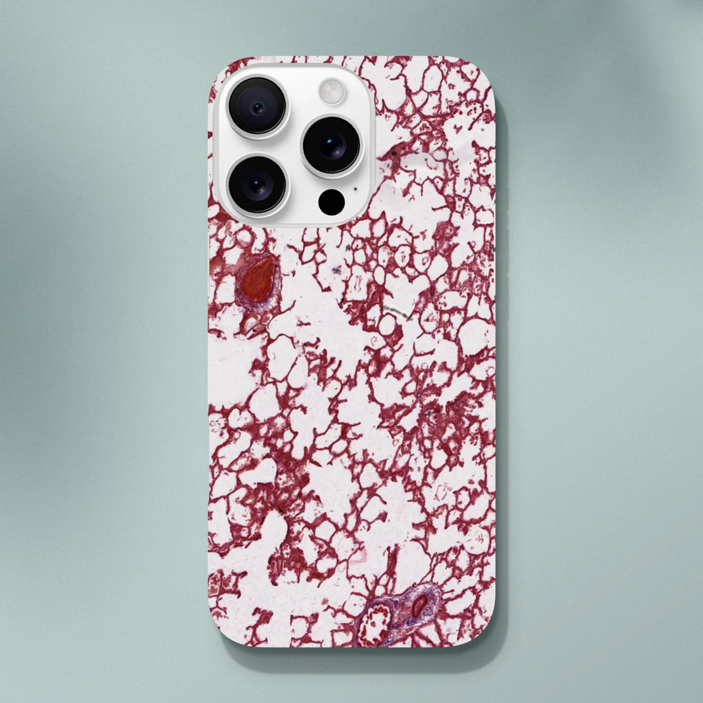 71e047c0-1283-4a3b-9991-e458392798d2