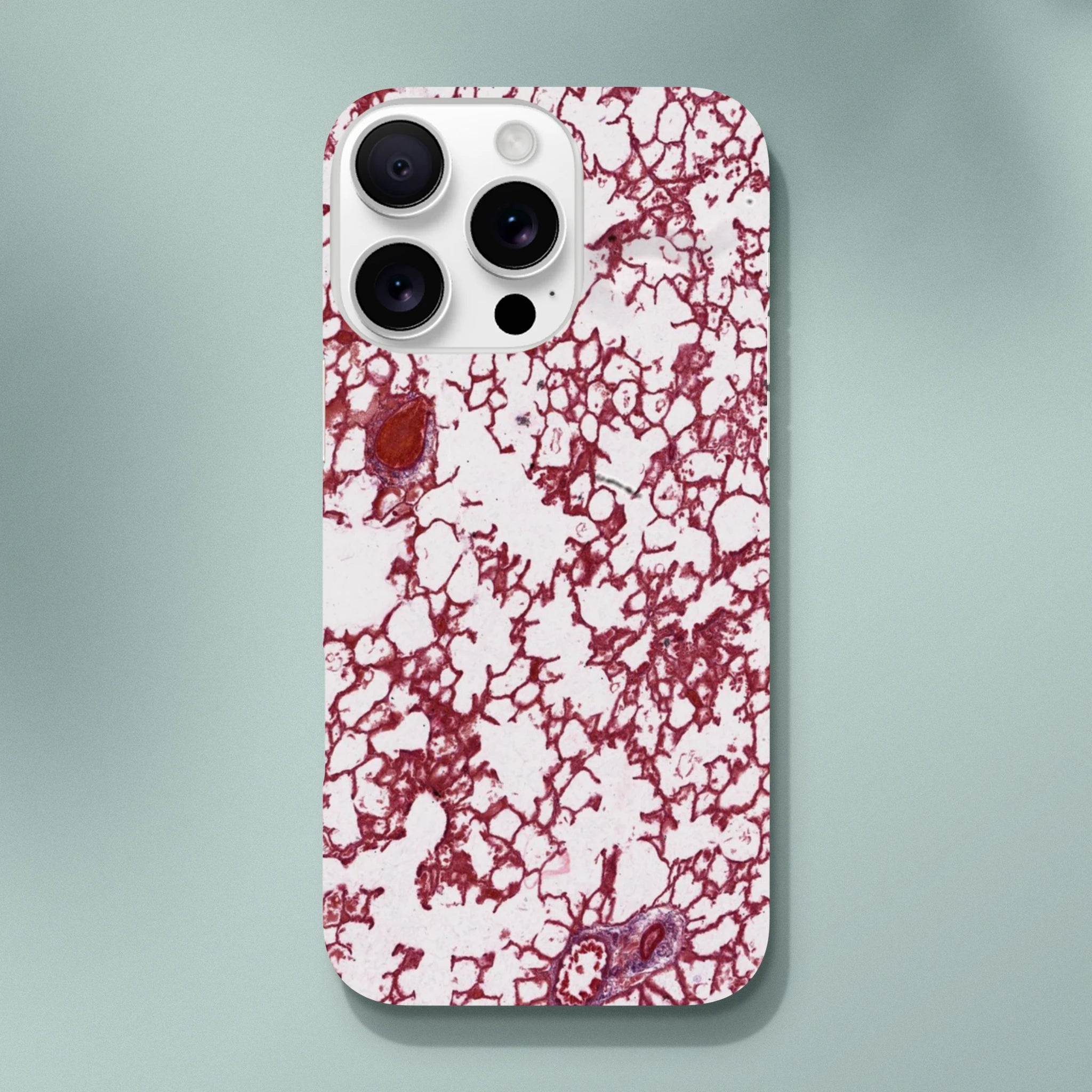 71e047c0-1283-4a3b-9991-e458392798d2