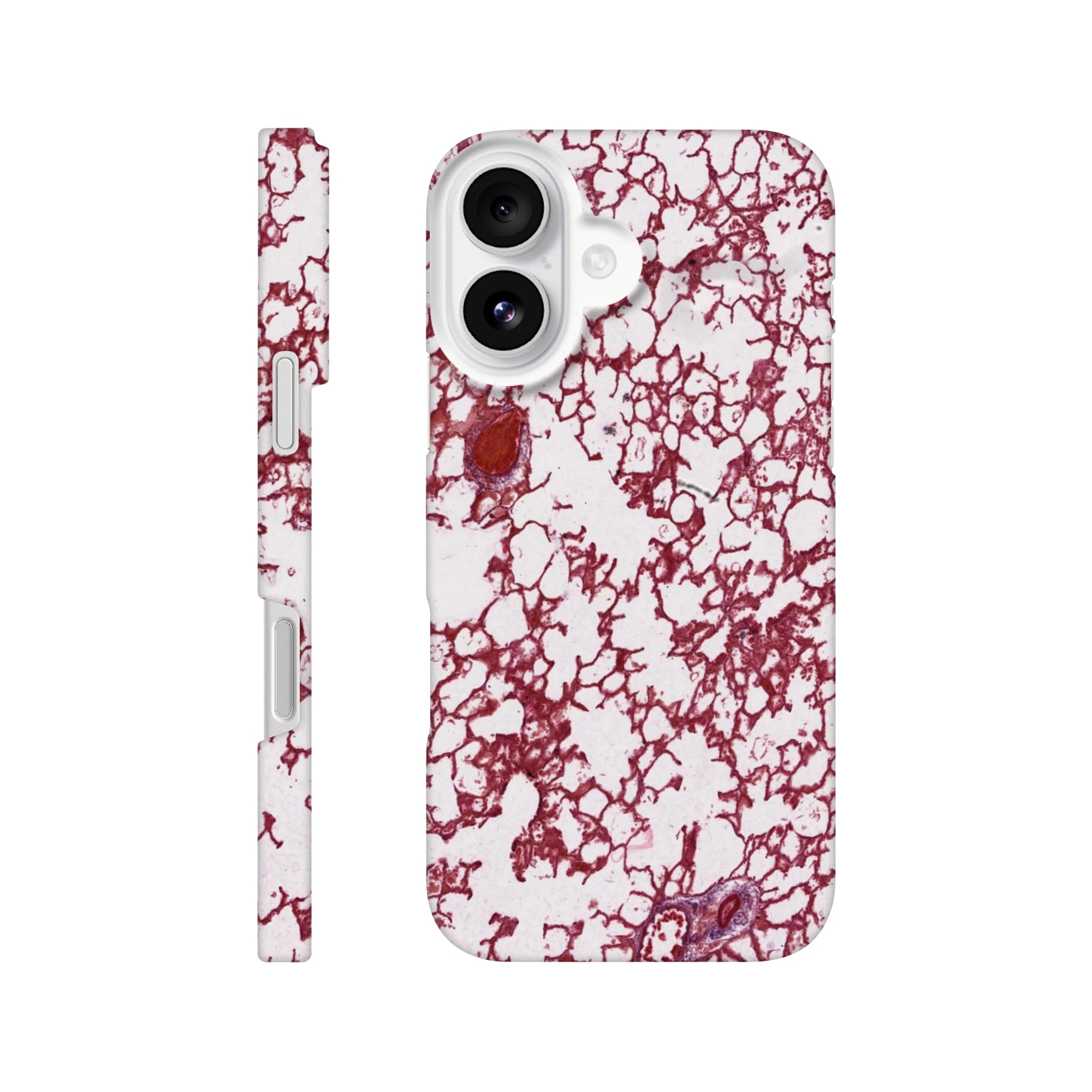 744377e2-cec2-4a81-b1d5-8b7502bff671