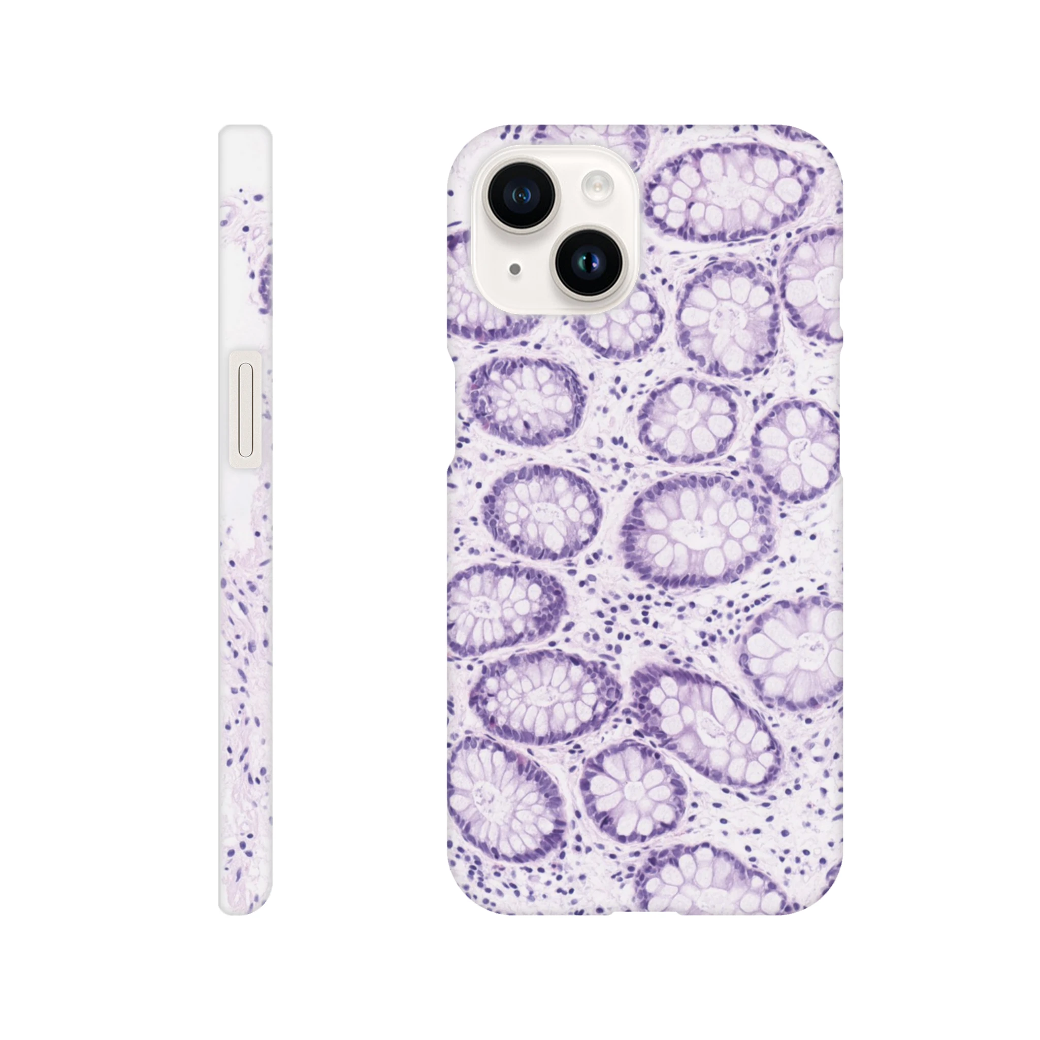 74b65e0f-856f-49ca-b994-0fb3bb284d91