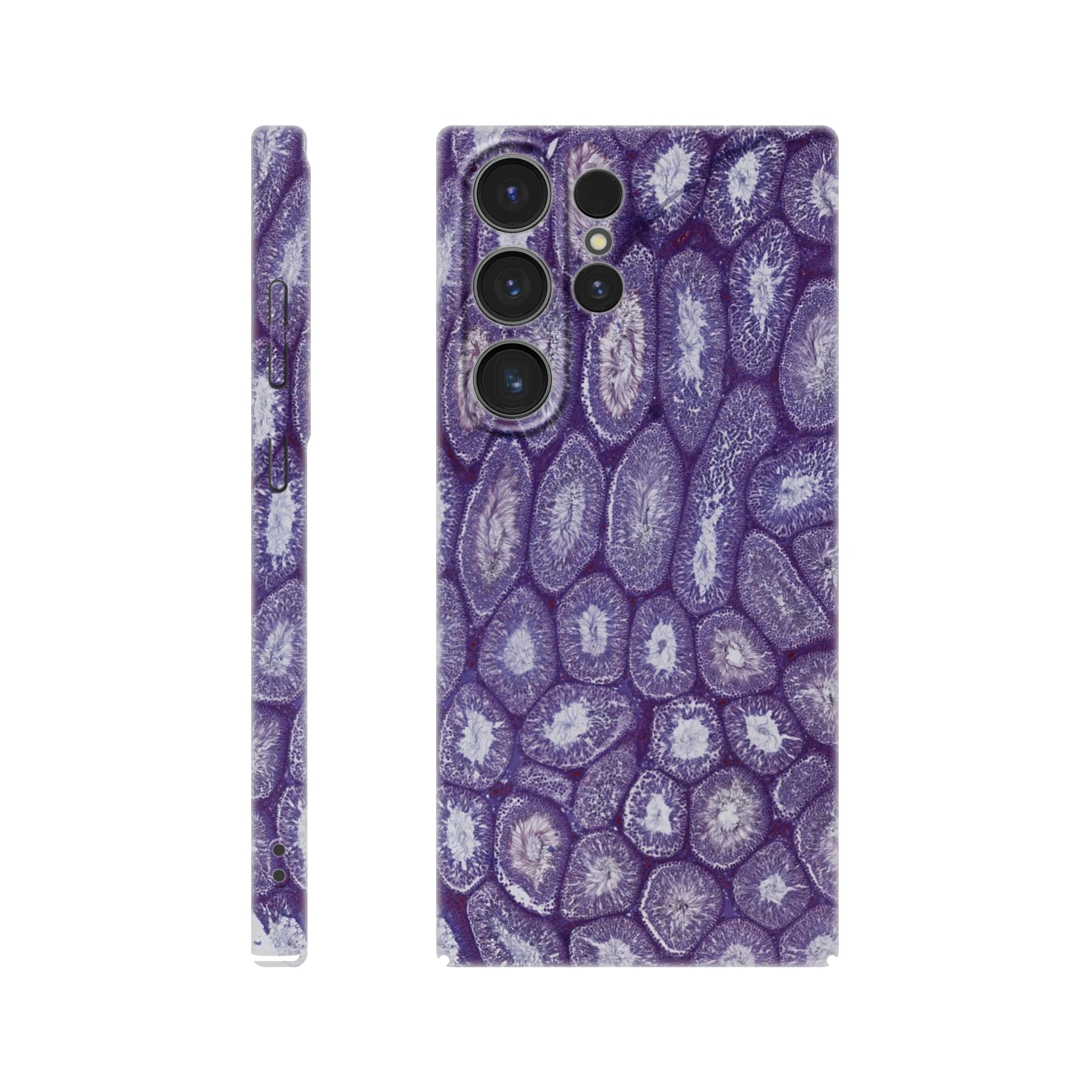 74c3757b-7ae9-4182-ae77-e18c32e237bf