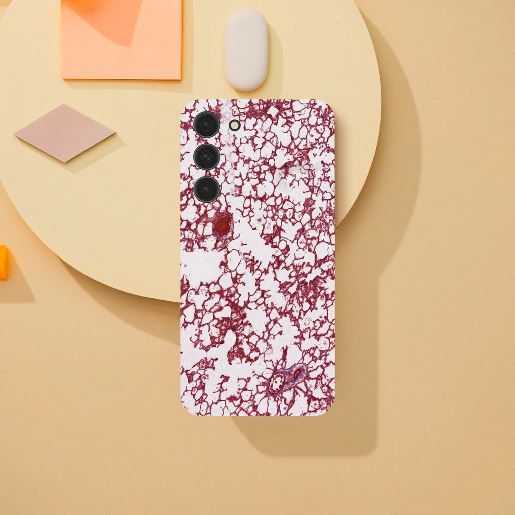 74c87c8f-3d26-4a42-8e9b-335effc8c375