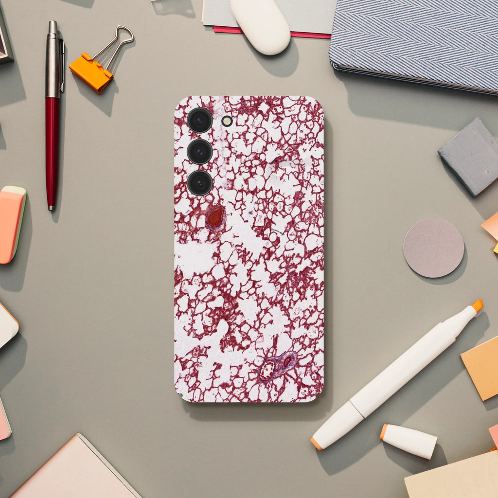 769c3c6f-540a-427f-b14d-91fc6ef068be