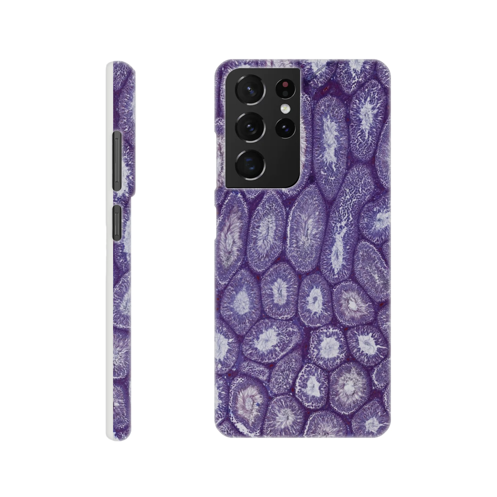 7d64729f-2c70-4655-9d7c-e42cd3ab5027