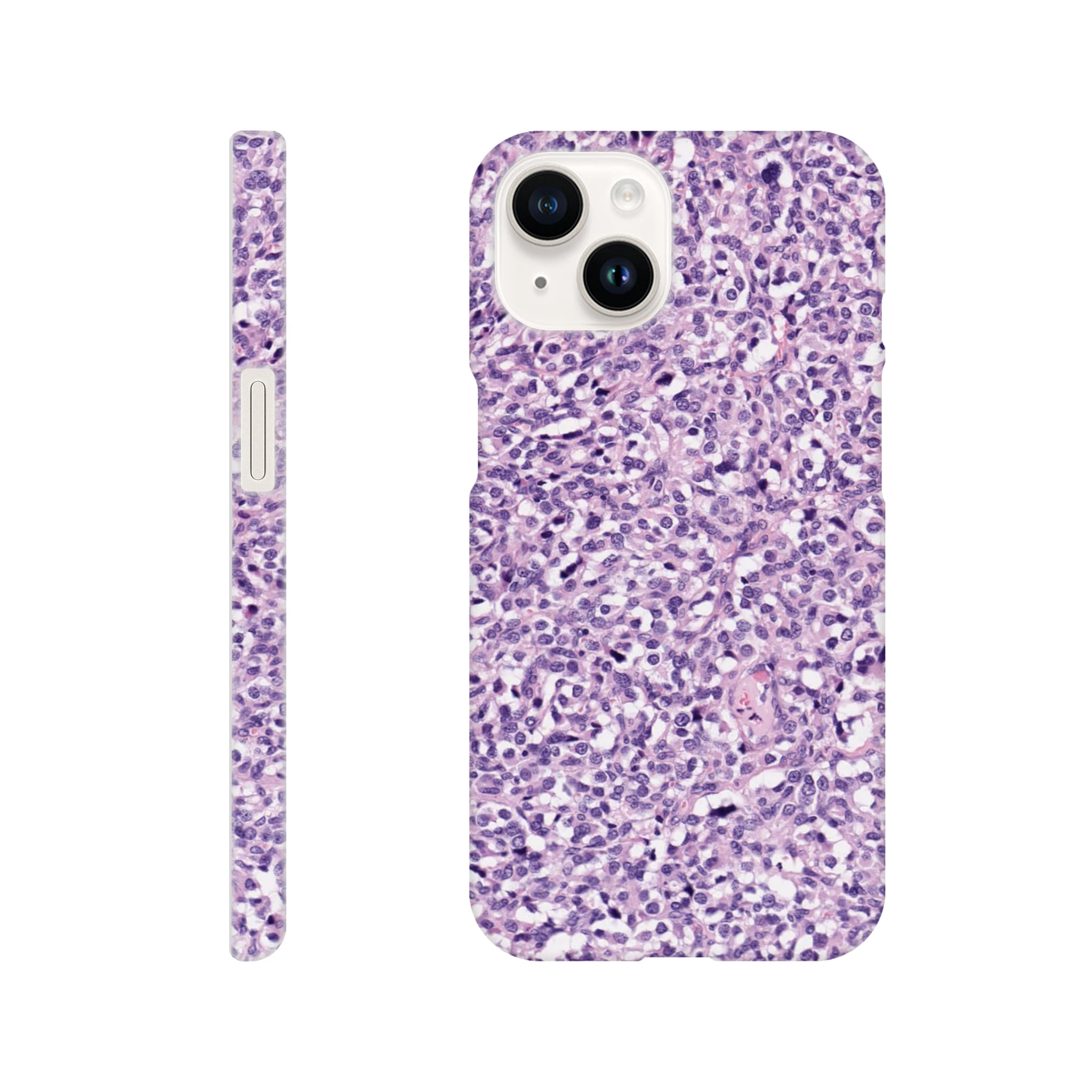 7e68b7c9-af60-4288-a005-b02652c0fe28