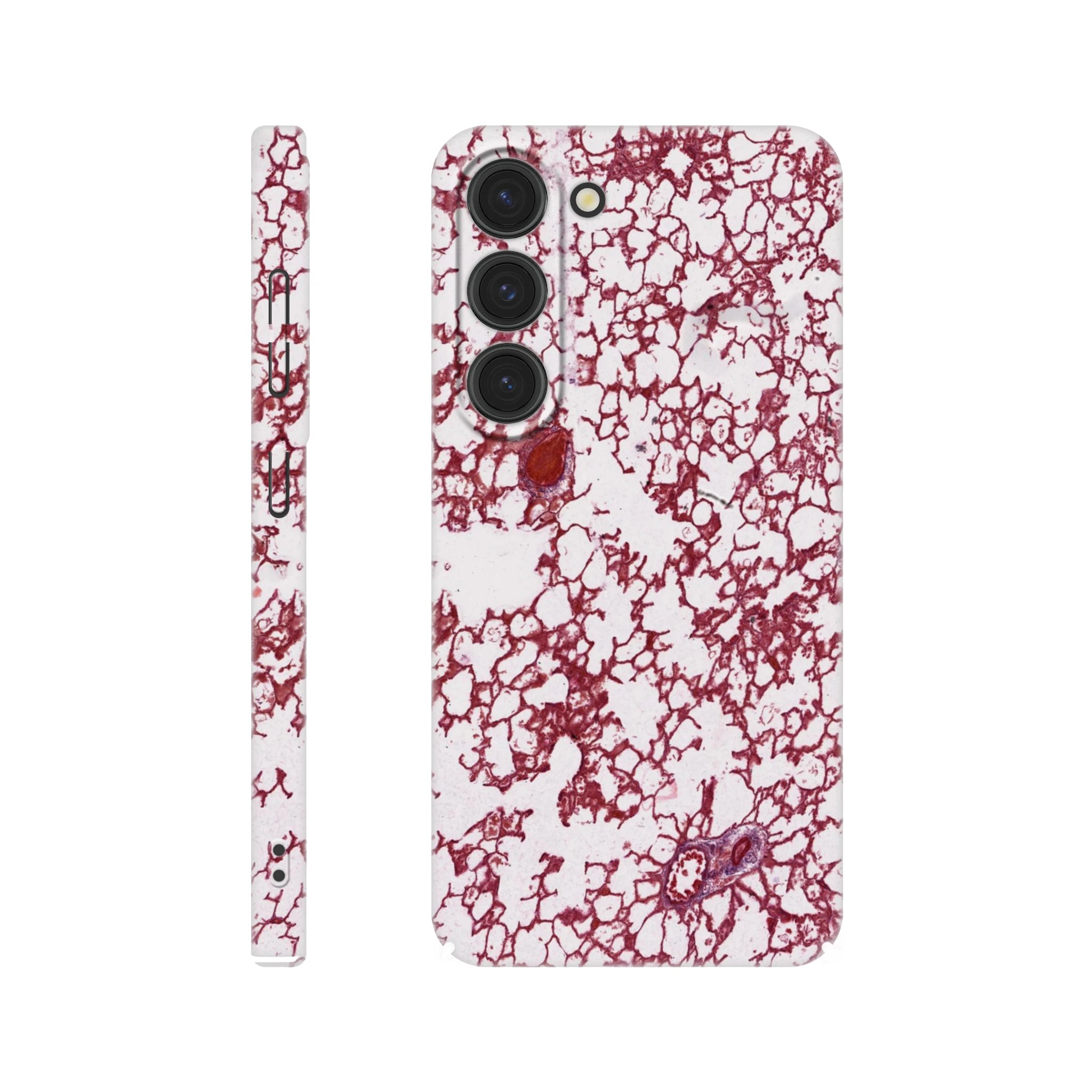 7e74954e-6d90-4b28-b5aa-b2af85db8416