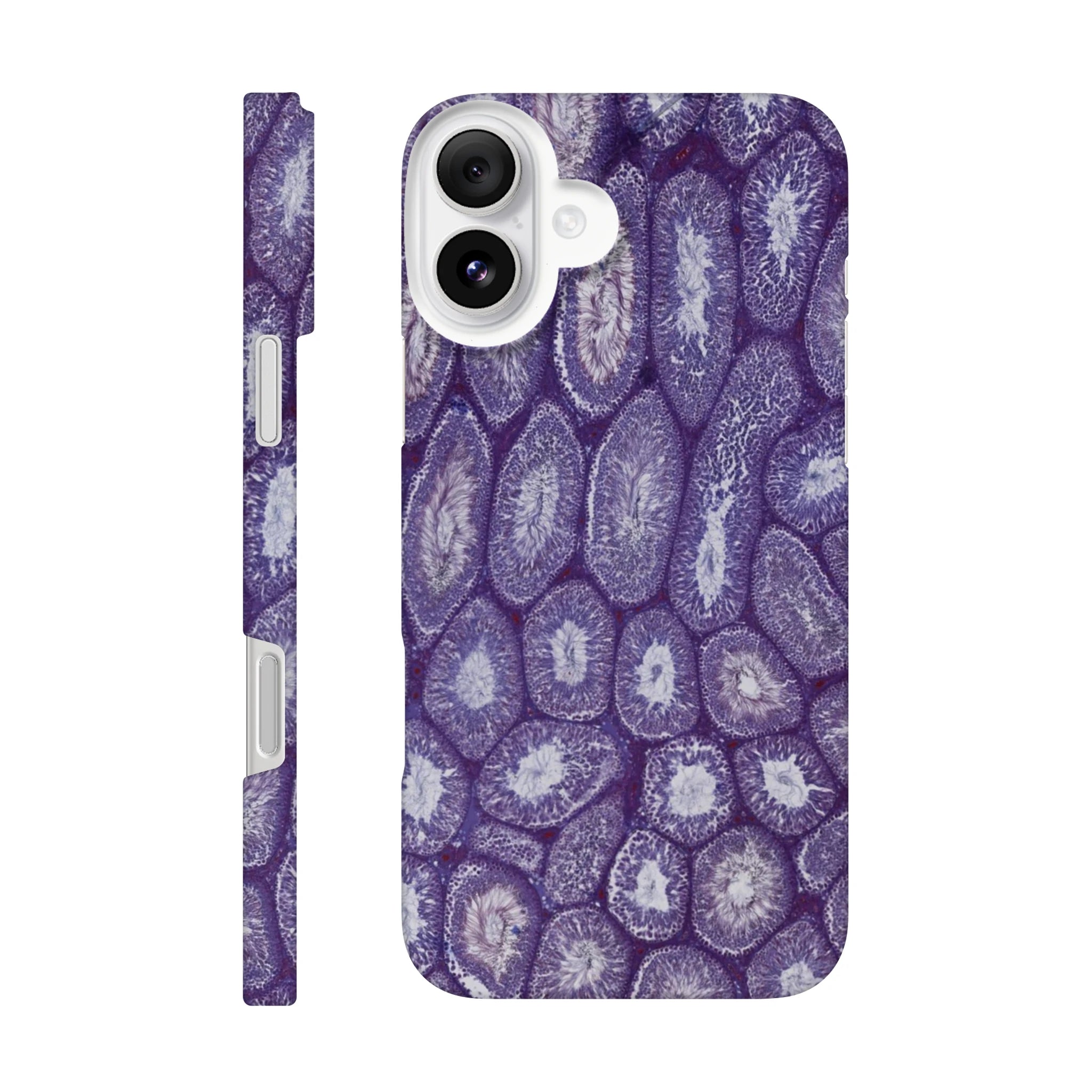 826013ee-5b17-480b-9fe0-a3819cb5418e