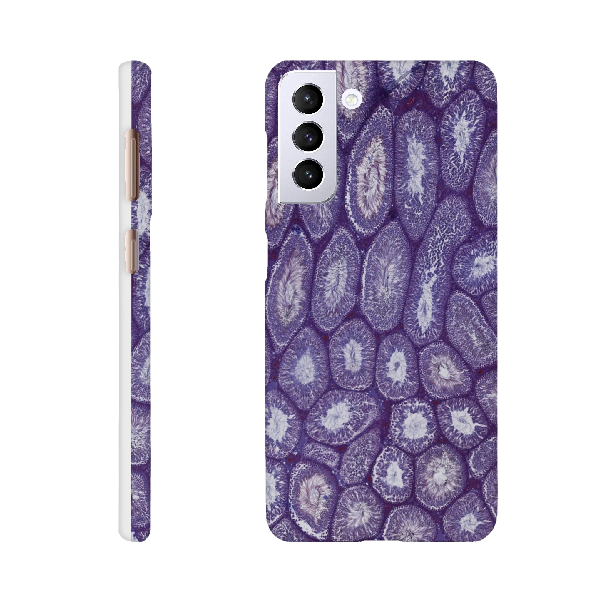 8289e6af-d0af-49c9-ad49-ca04512023f3