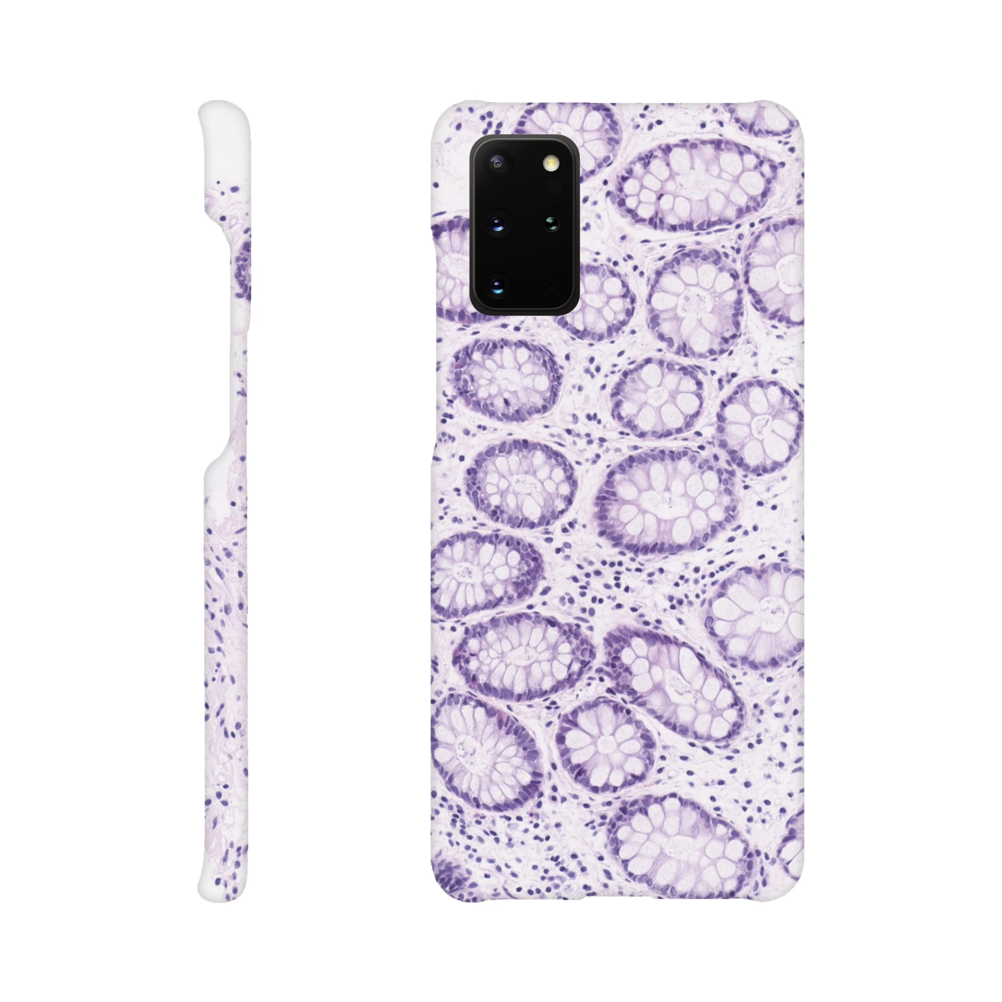 83927fa4-e8f9-46bc-a885-6c00c45dc717