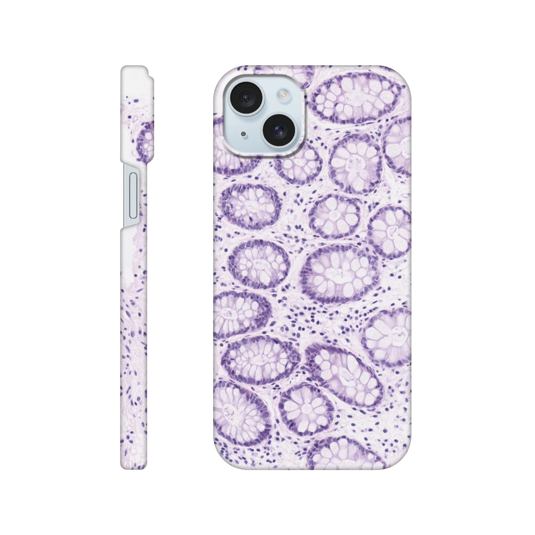 86e77a04-66fe-4d8a-b717-8db4cb3b3871