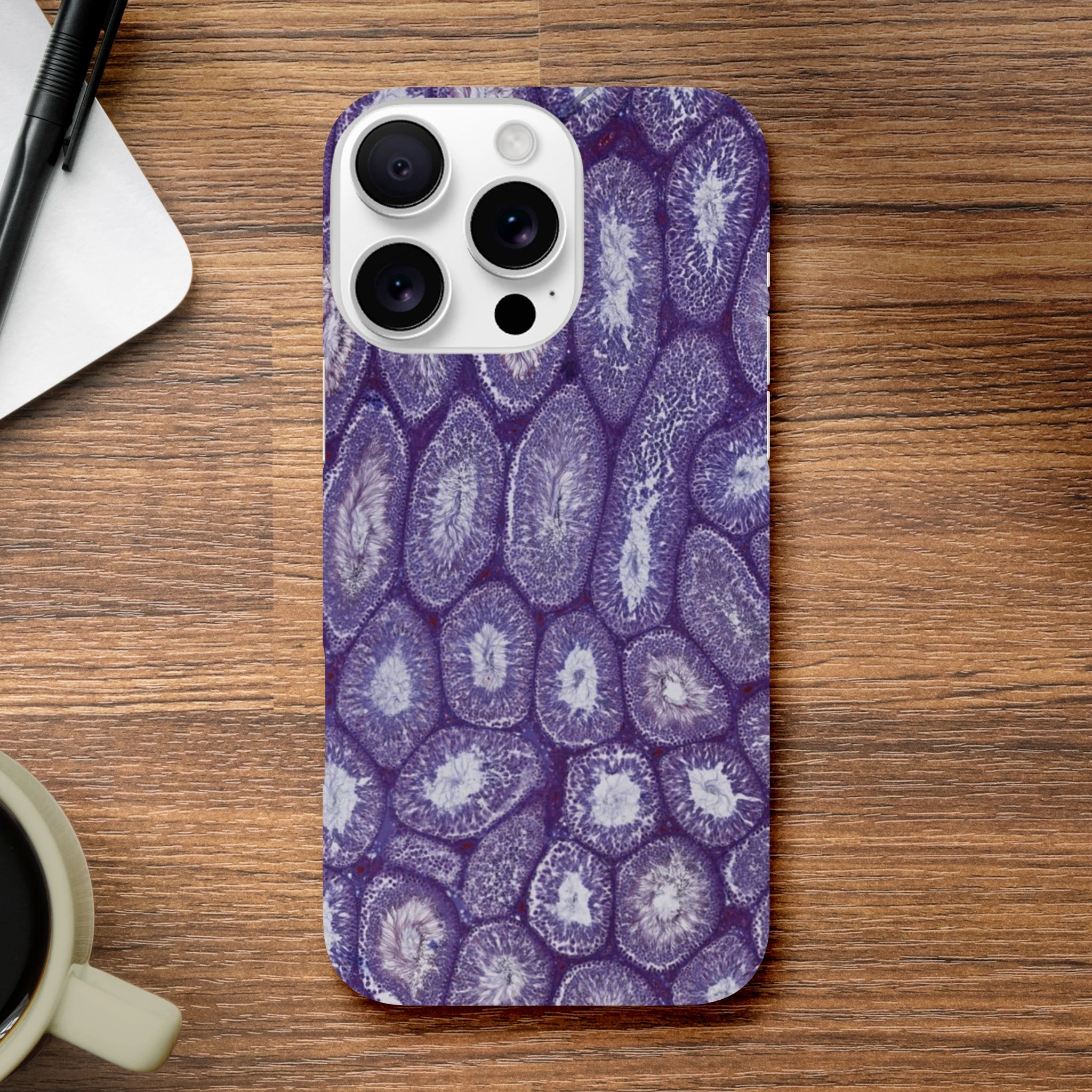 86f0459c-8854-463b-99fc-5e49dae9099b