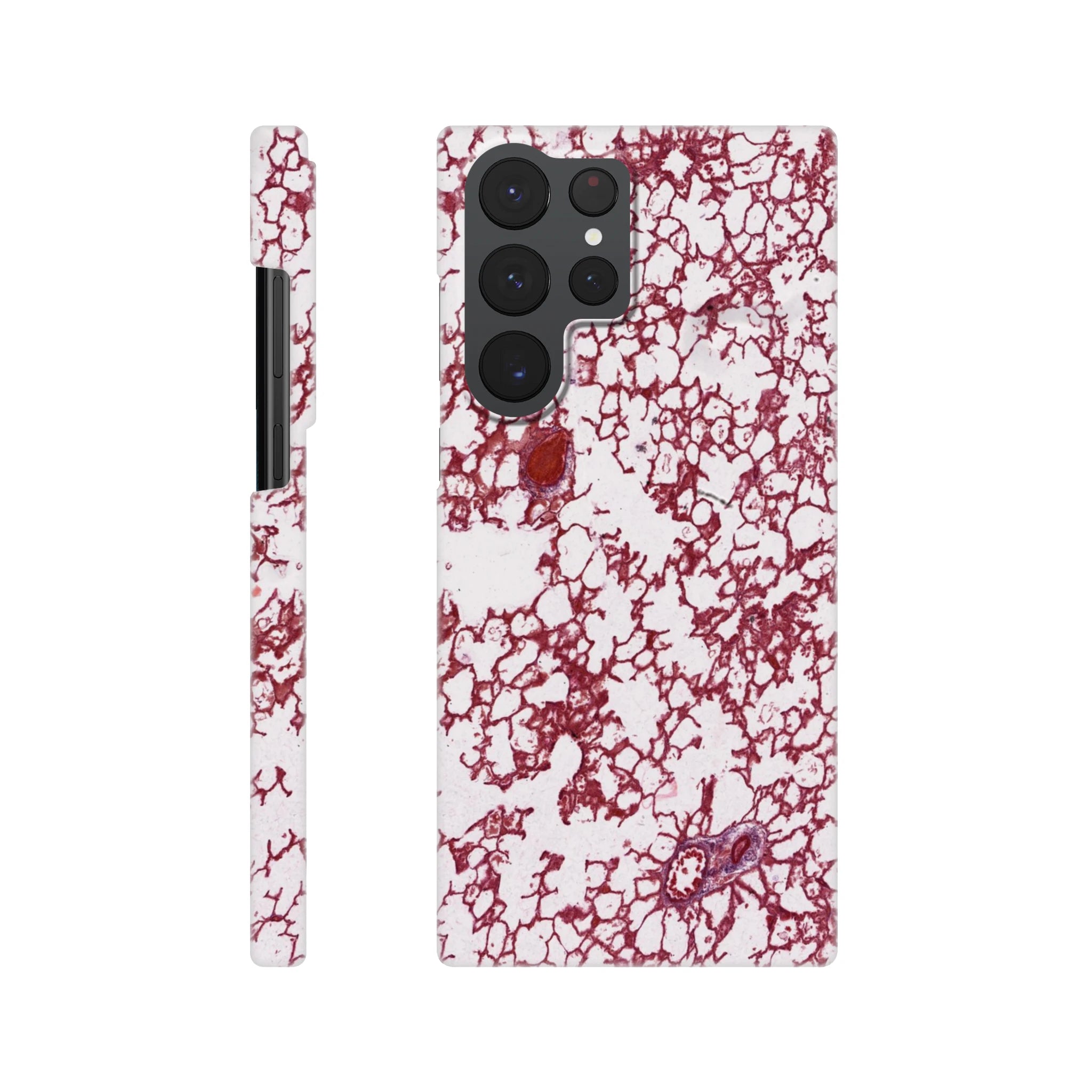 8731e16c-ed3c-43f5-b59f-56f69d6754f0