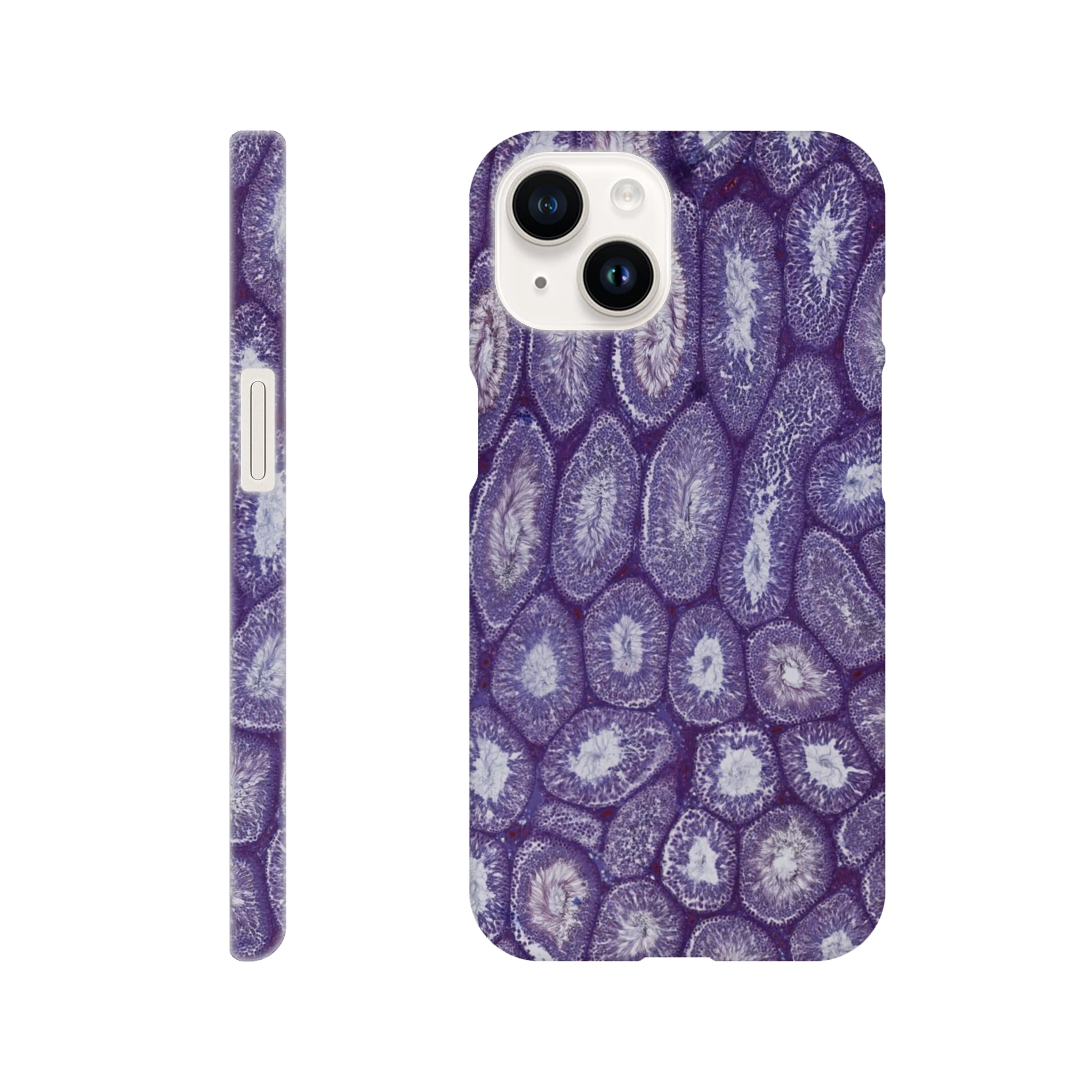 8ac25af5-a2ff-4b15-800a-46a76ec6ec47