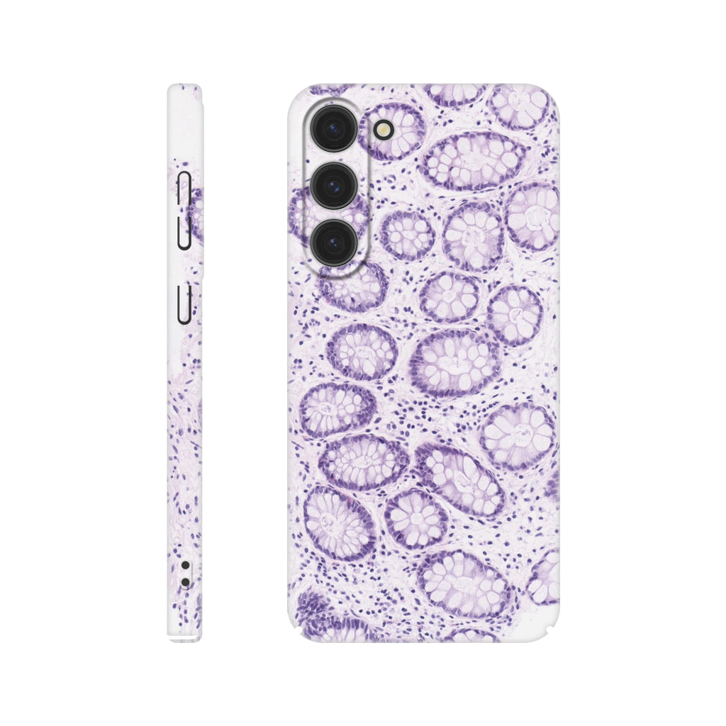 8f0512cd-dc82-464c-b671-d9e1ce1de129