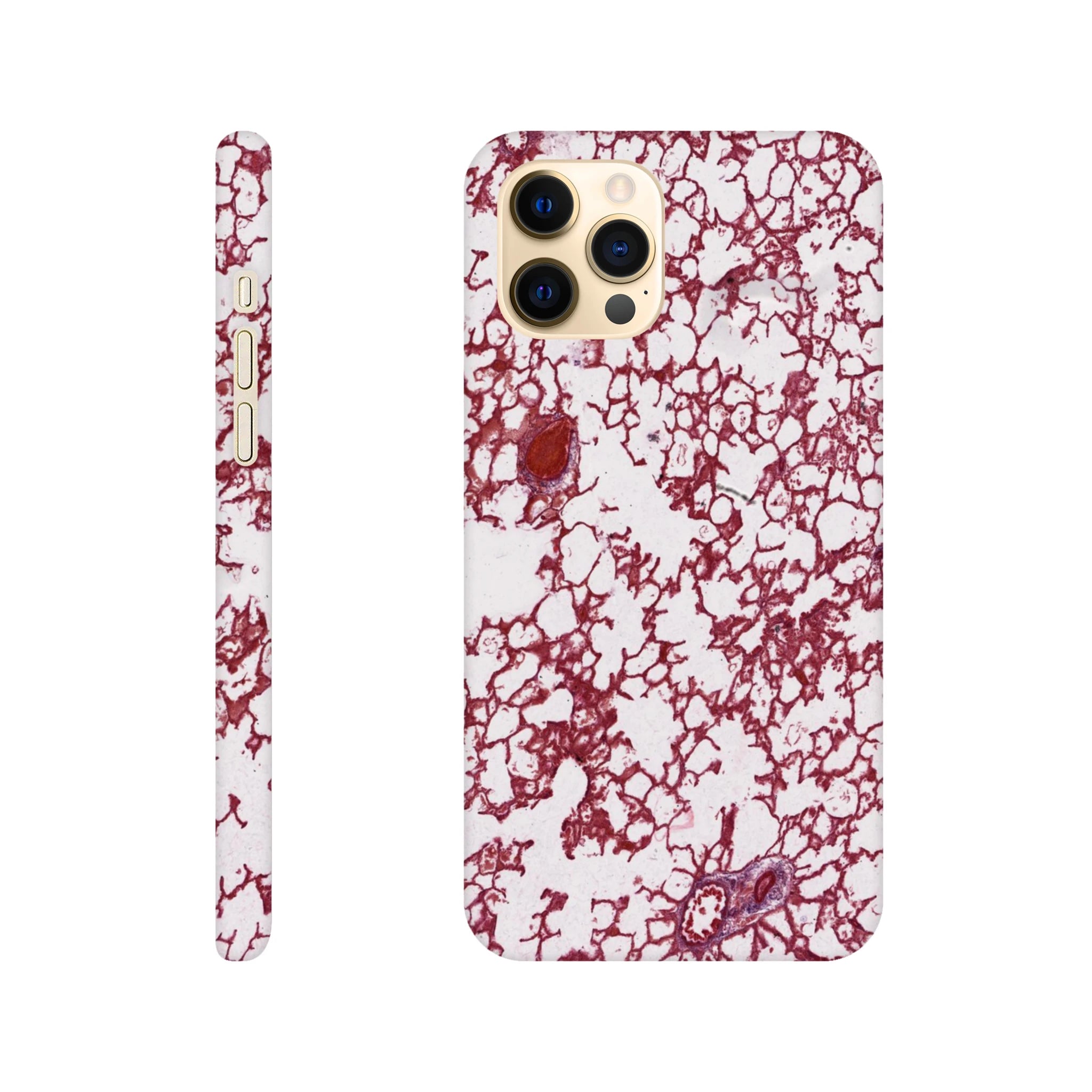 90665ec4-639f-42be-b542-5268033143ad