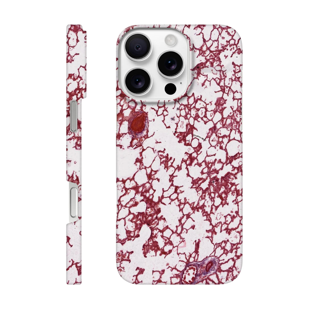 92a1b37f-641e-4572-9f53-cee9a535a90f