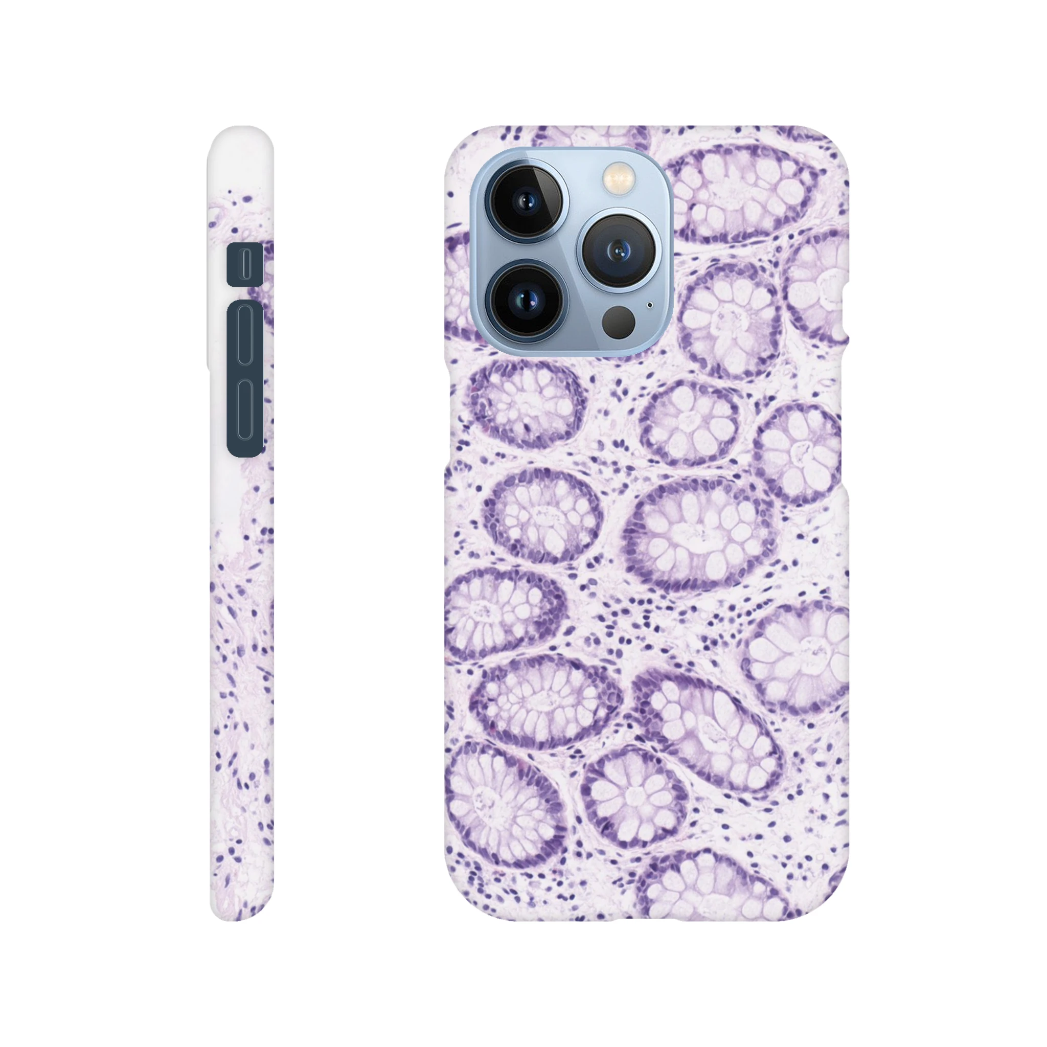 999d38af-db22-484b-9151-e92cb3615880