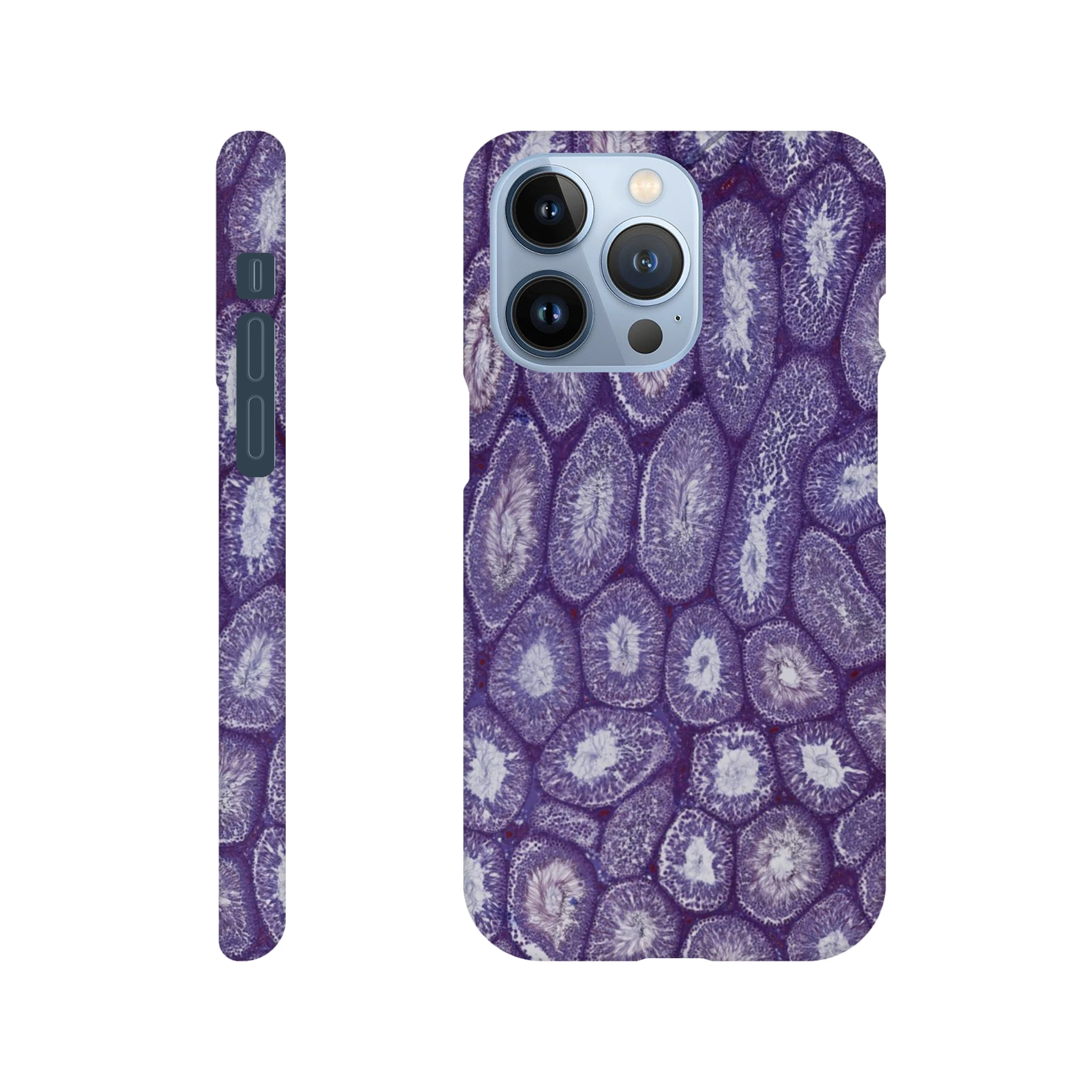 9e26d5e3-11c6-4e0d-8a16-abc1d430c870