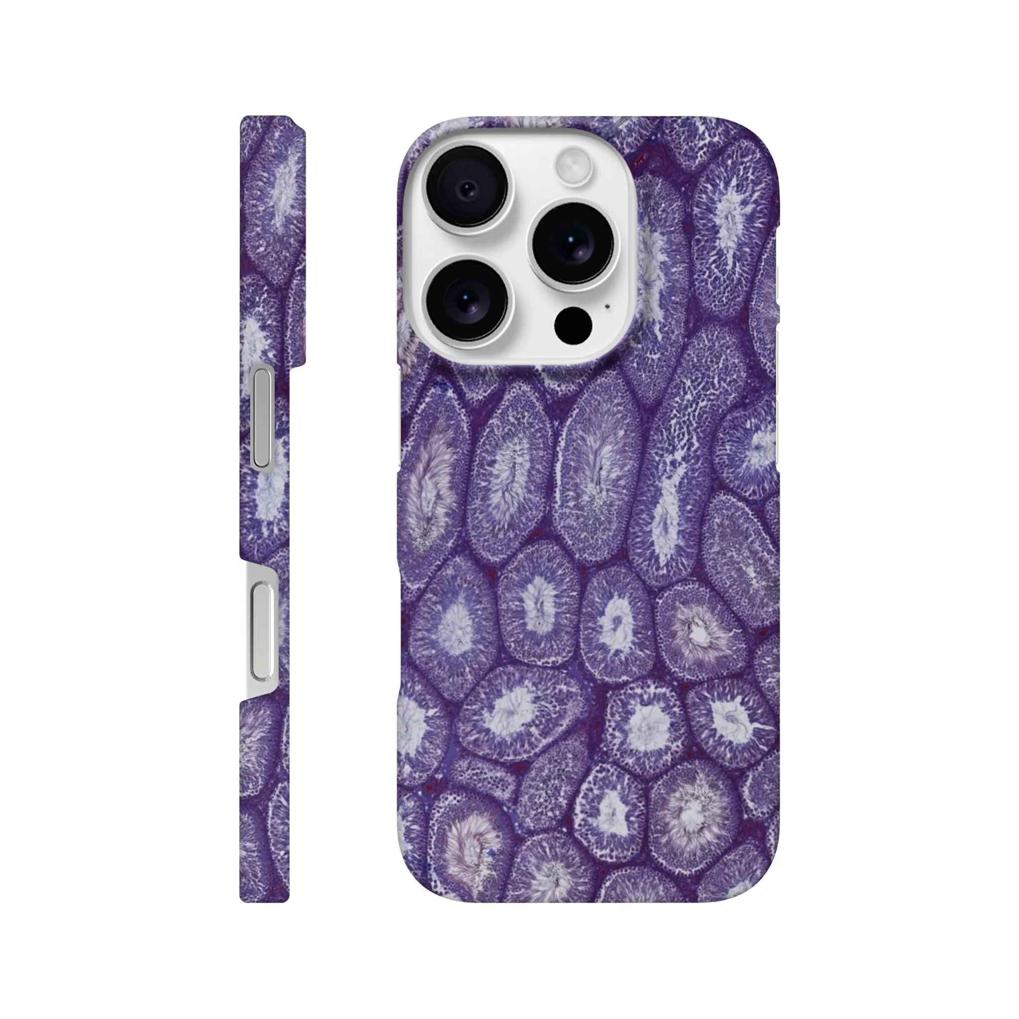 a00a4cdb-b81f-4a25-80be-e9ef34327fc3