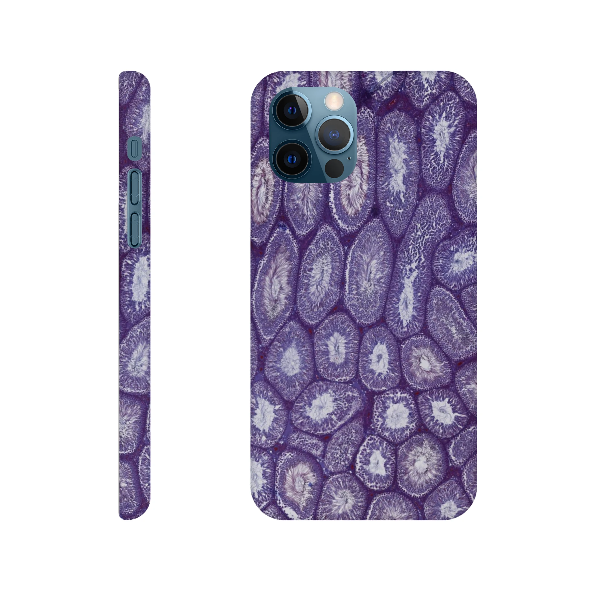 a20acf10-3062-49ec-8572-31a4871554b2