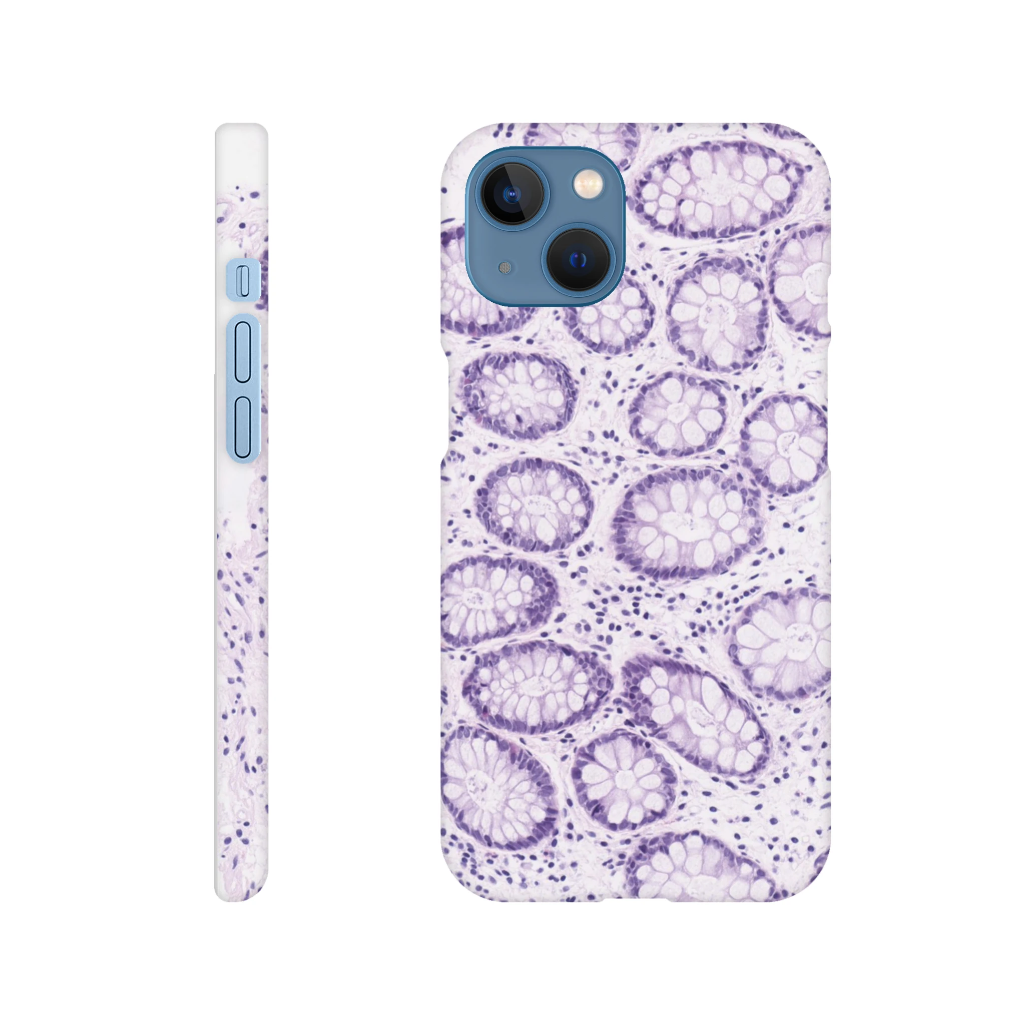 a5996490-9c4f-44fd-a84f-829dadae0725