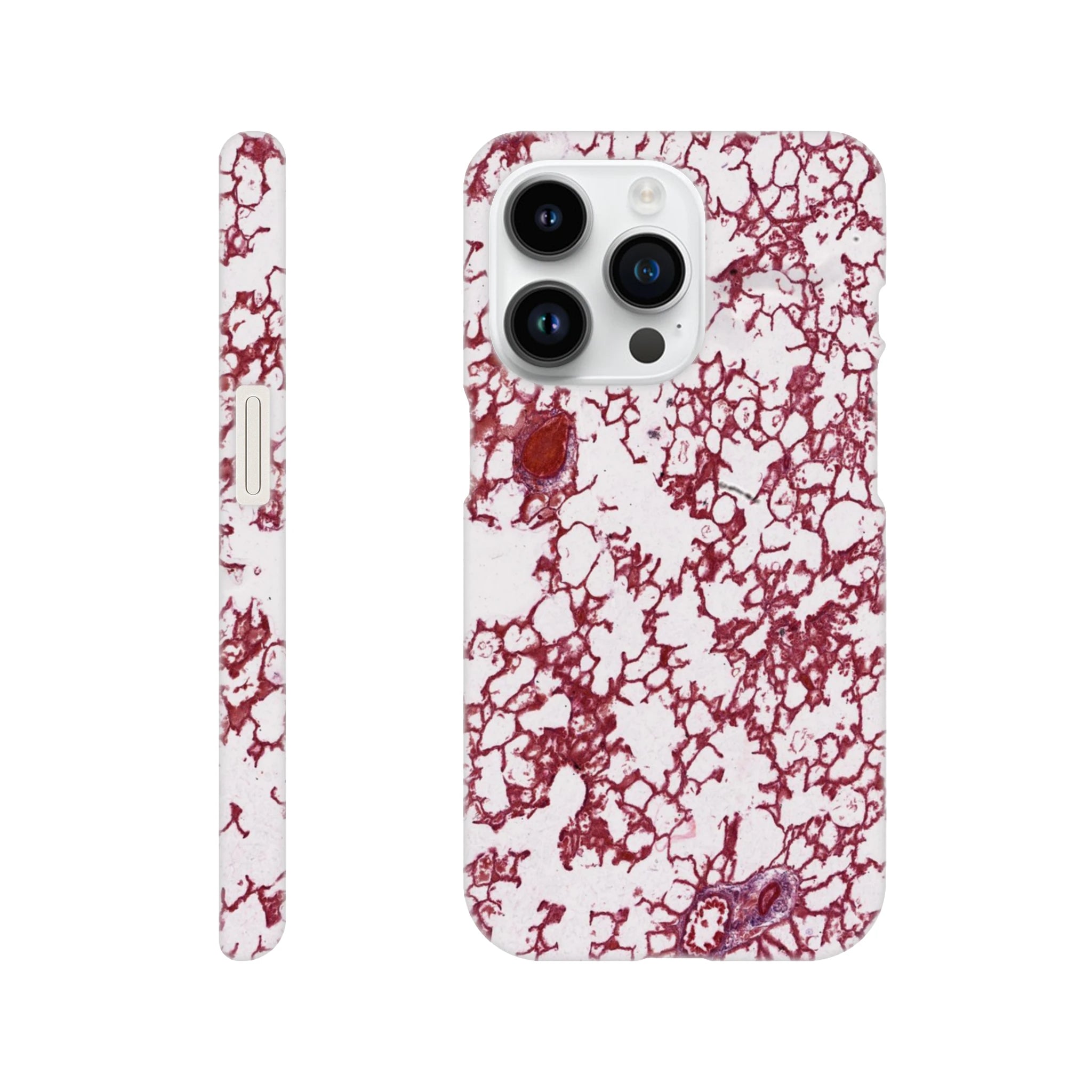 add292fd-f521-4cfb-bad3-467096547a86