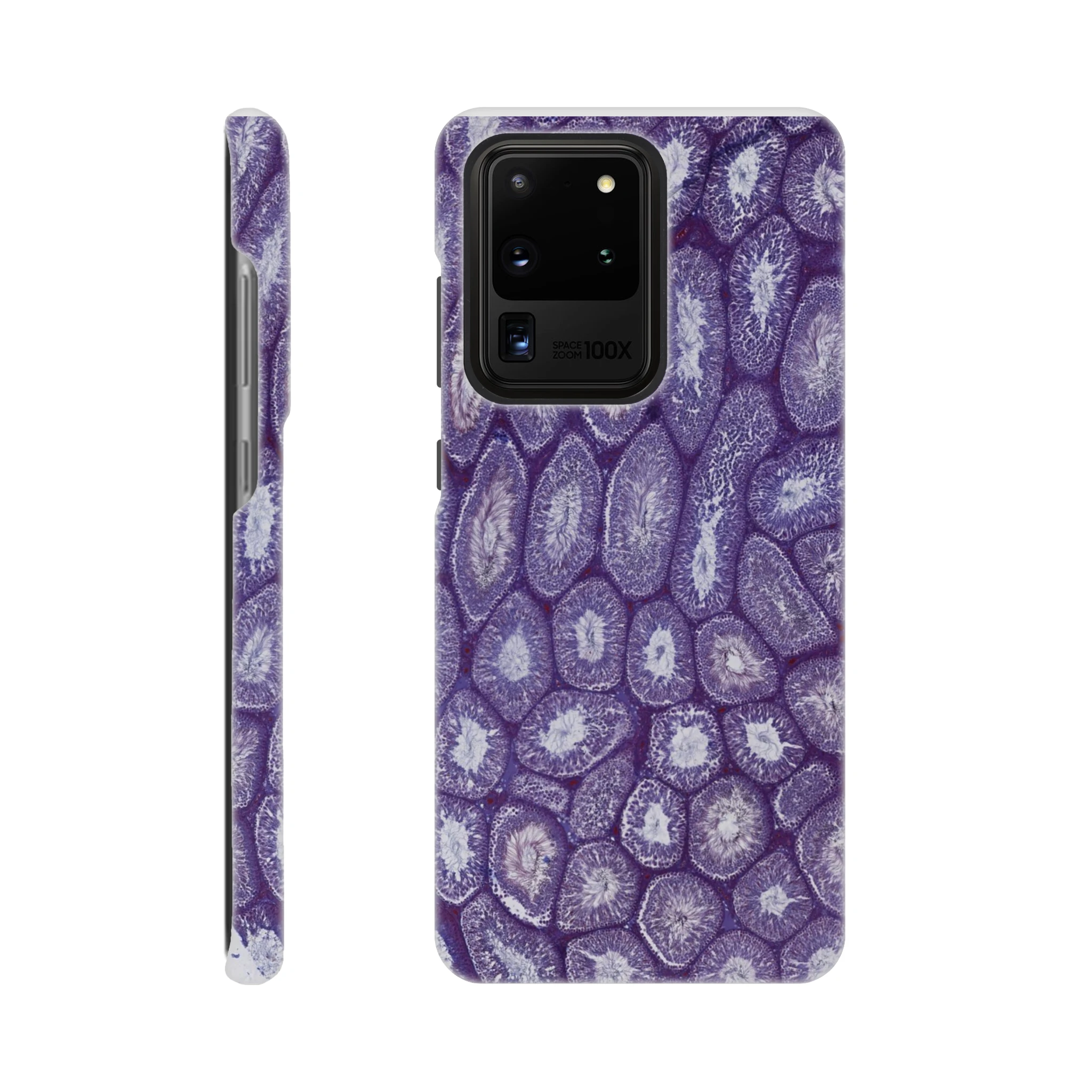 b08a2ba4-b334-4803-8a60-5f14dbef2d37