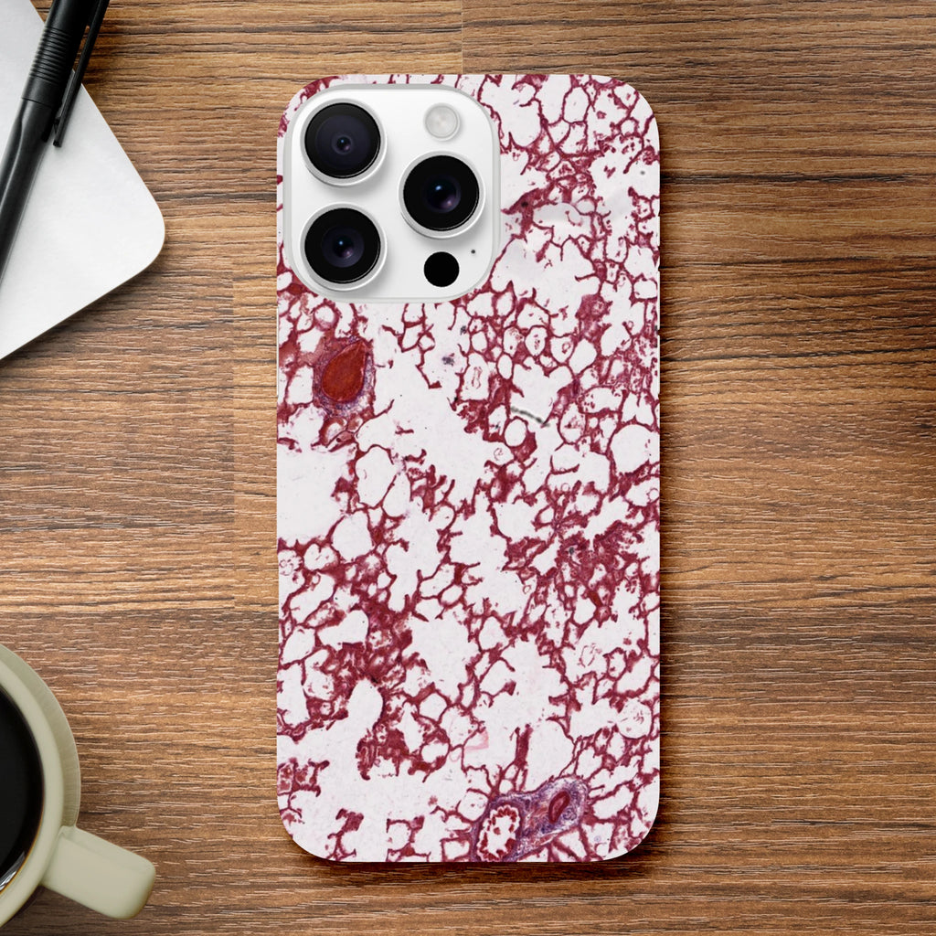 b29e1537-e537-440a-afbf-fef5fabe27a6