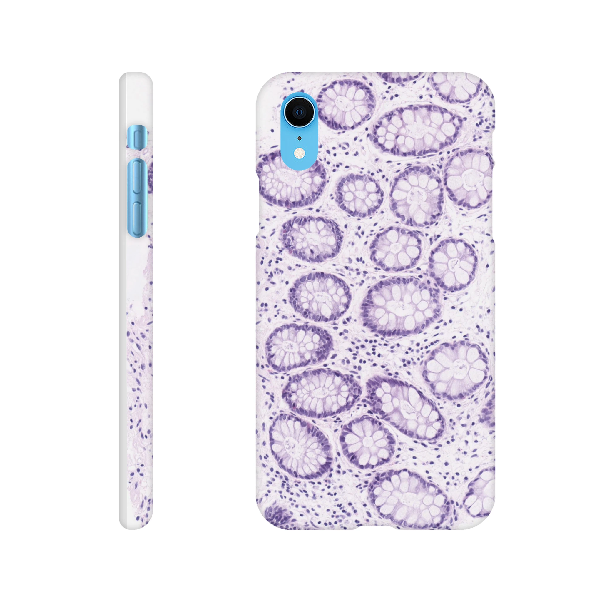 b47d8a1d-c3cc-43c7-8950-c4c8217d7f31