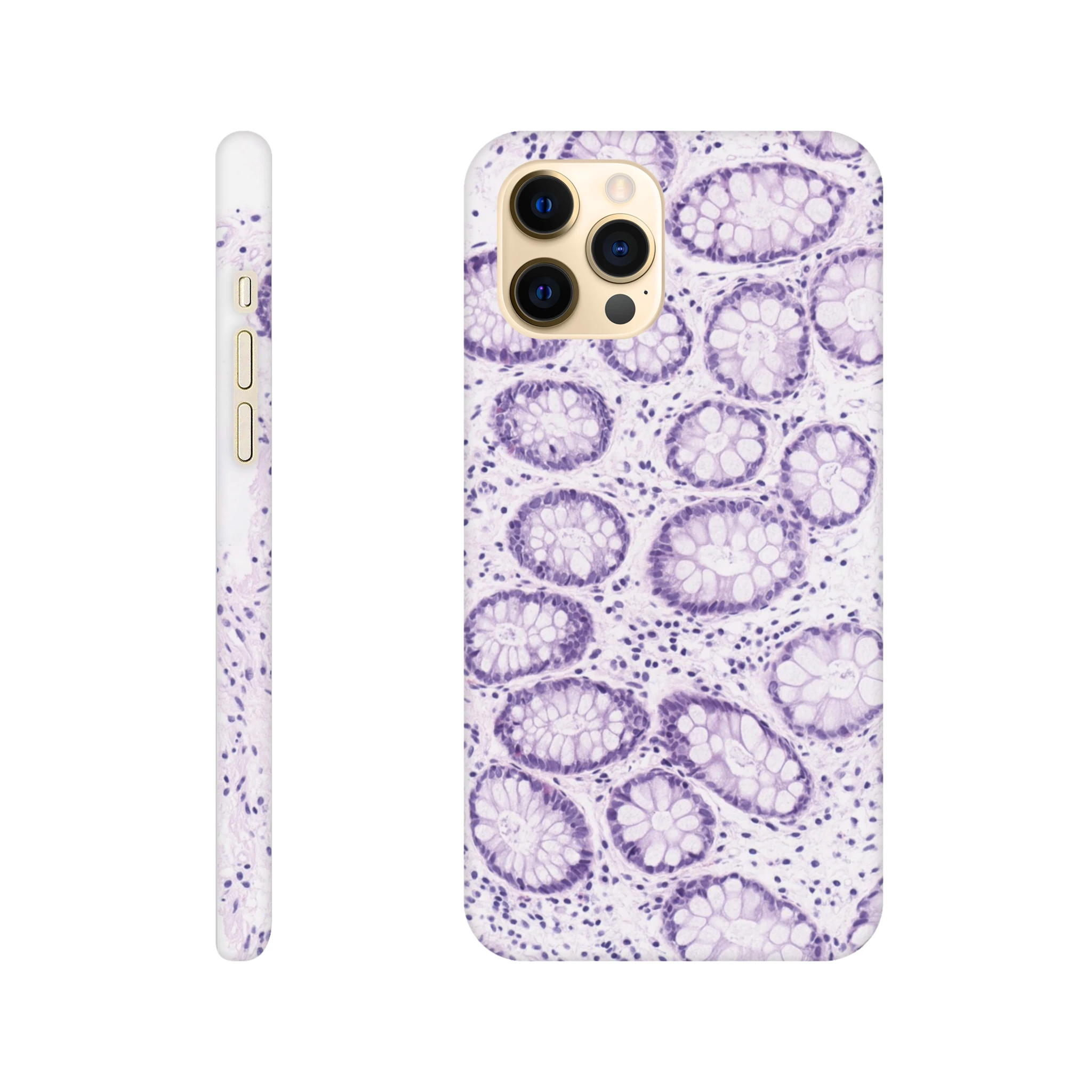 b505b035-d987-4c24-9e33-944e95555e5e