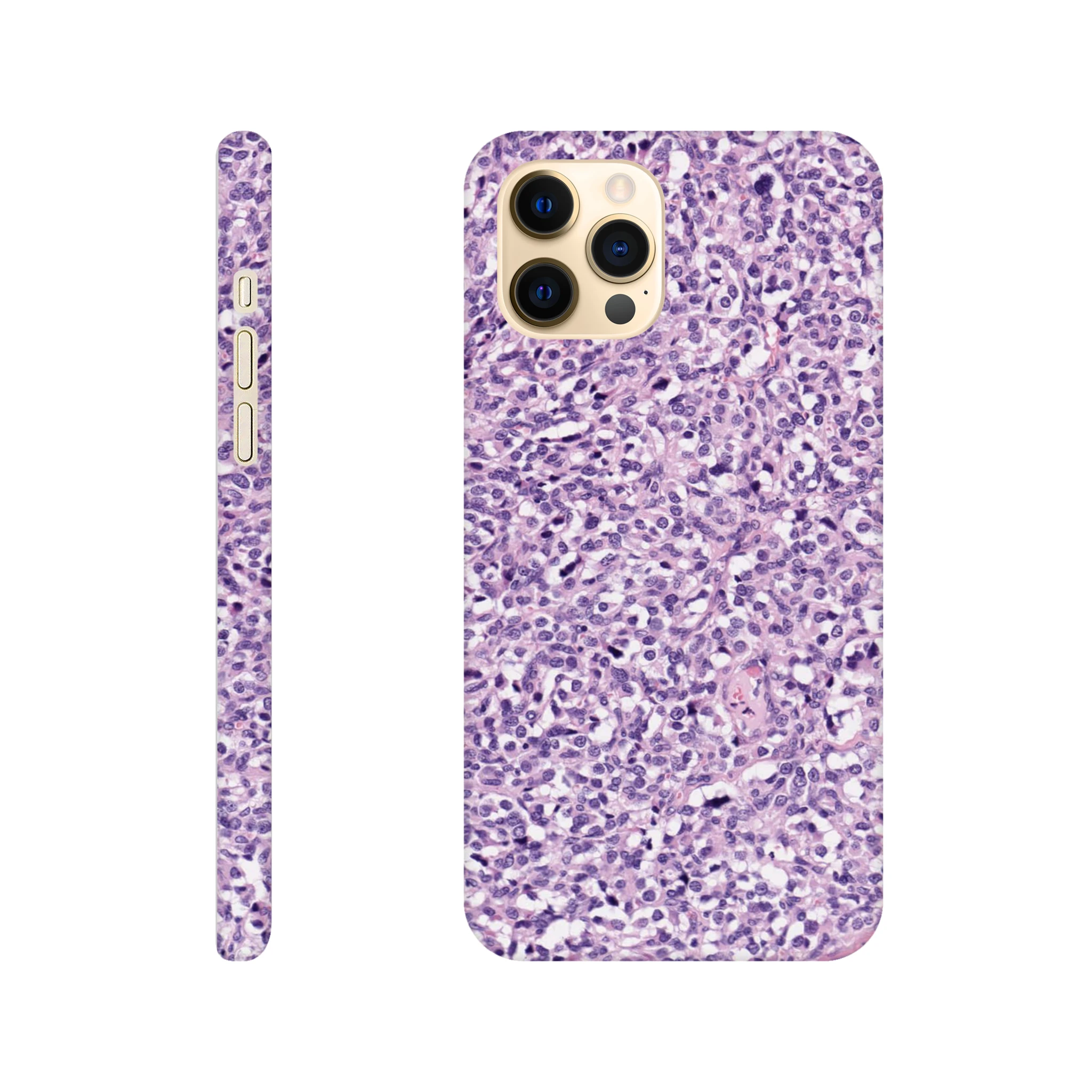 b7b4b356-6760-4b29-a143-80fc442eaed2