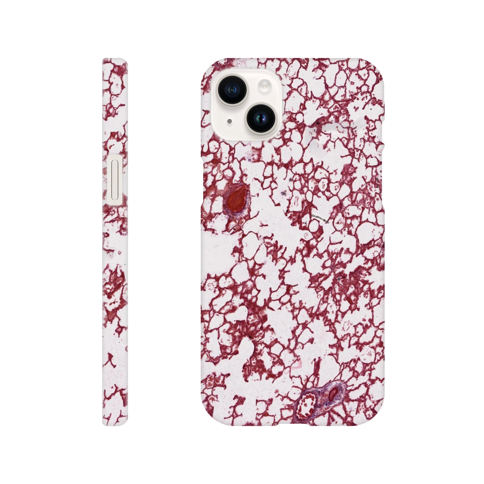 b8da8f63-35ab-4f07-abe9-421f016de06f