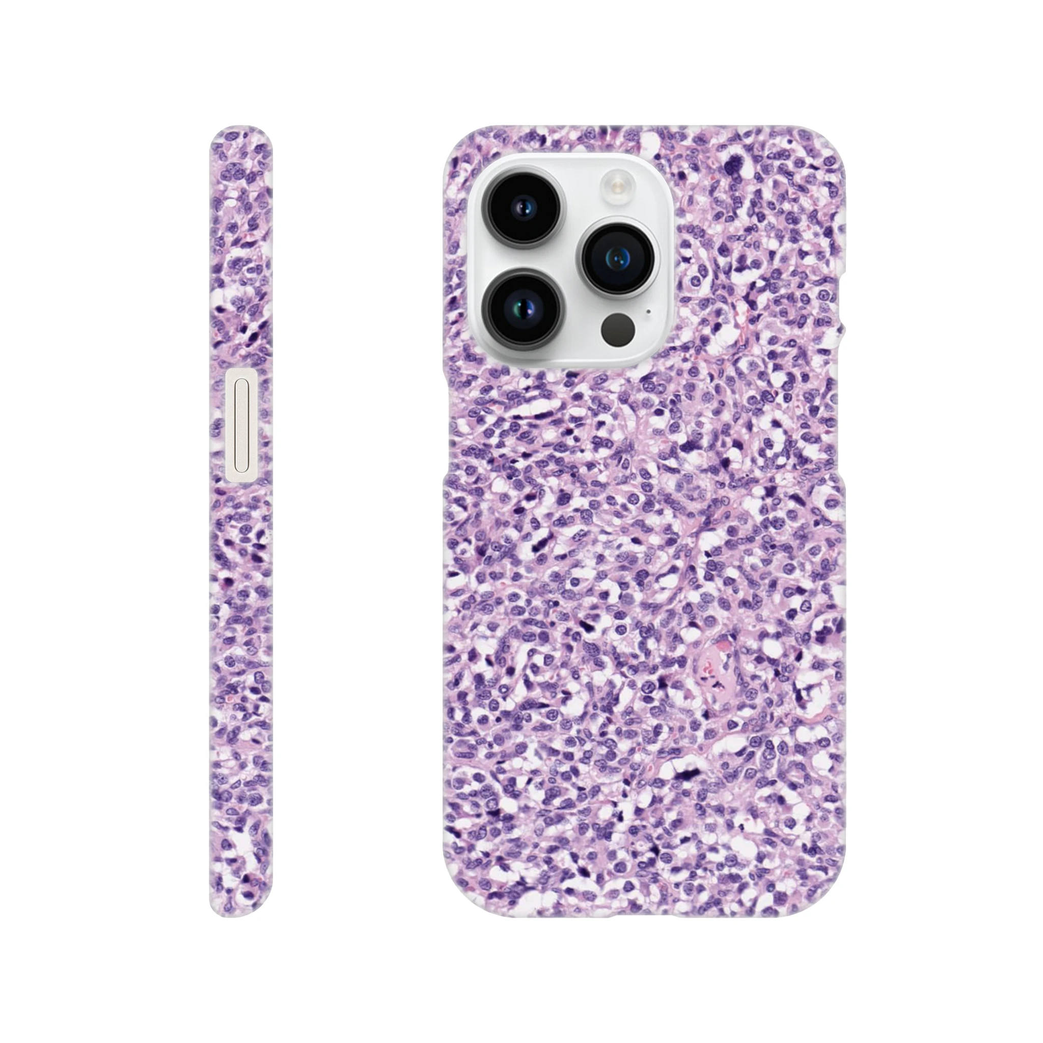 b959791f-7060-4b29-b2d8-78ebce798181