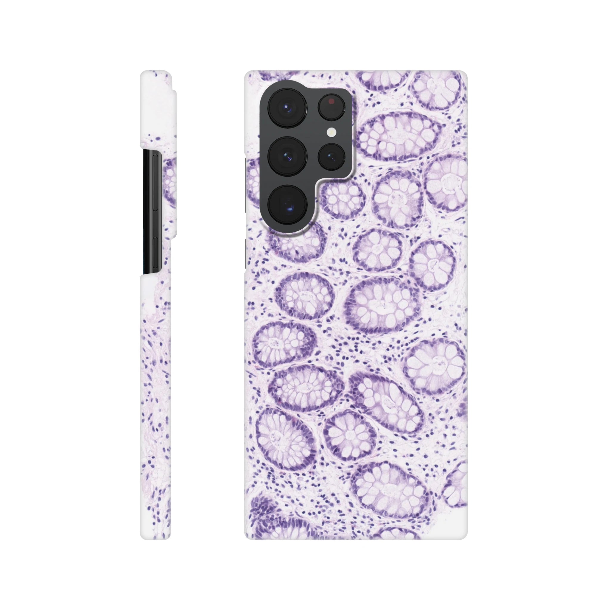 bab9360e-5796-434f-8b44-58c511f0f141