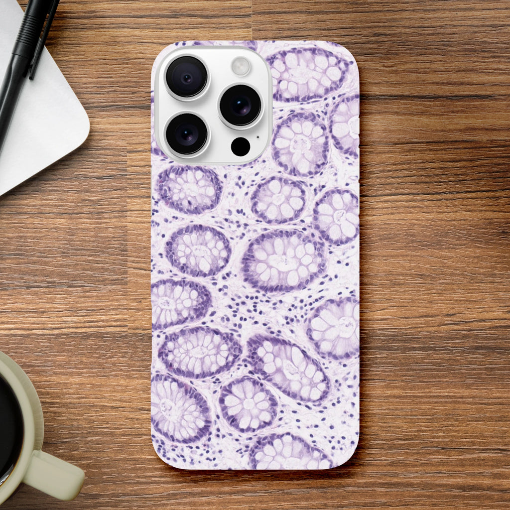 bb9fdd27-abdf-4ba6-8f8f-3d2f5bbe659e