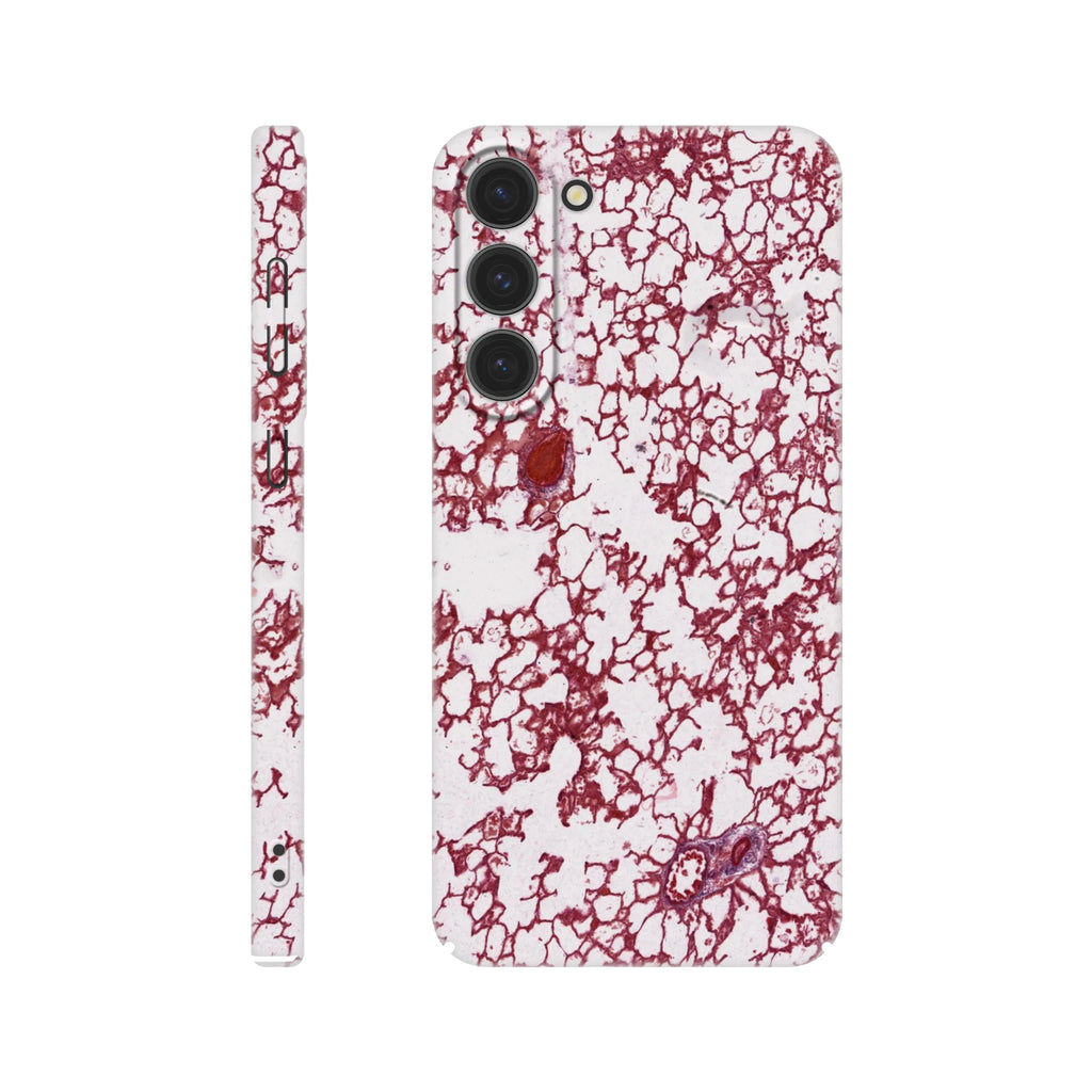 bcd59fd3-b9ca-4096-9c82-ffc19db5ce48