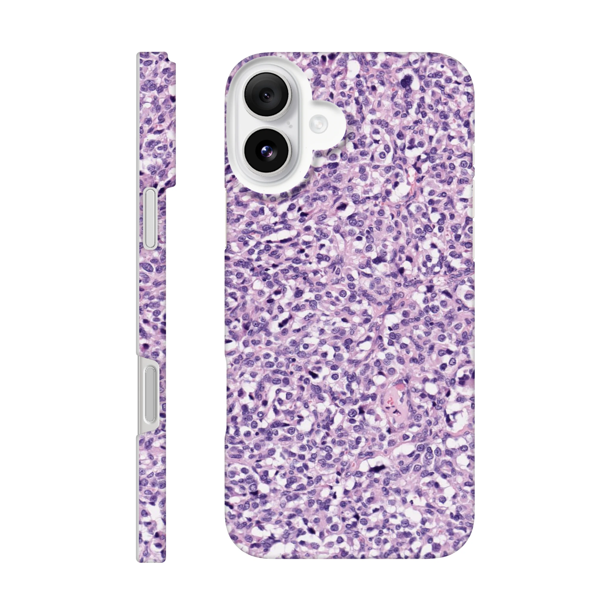 bfb92c1f-591d-4dd6-999c-cd020648837c