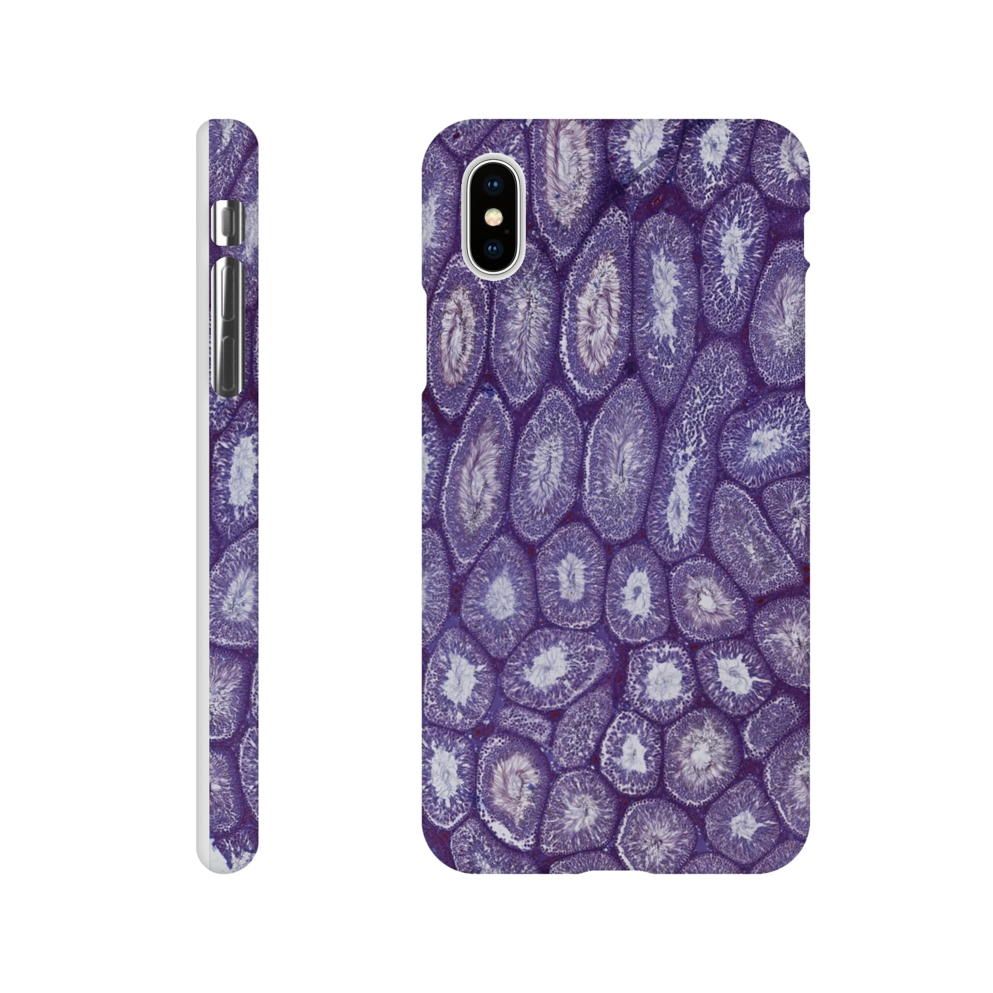 c8b842fd-9c07-4b6c-bb8a-3fc78cac4824