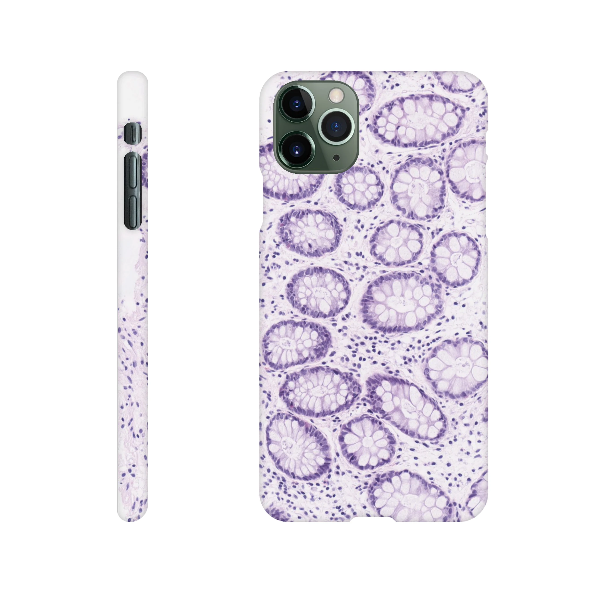 c8f6b50a-4a56-4bce-b02c-4fa2ac6ec372